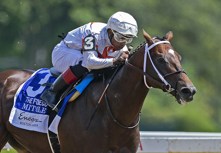 Mitole wins the 2019 Forego Stakes at Saratoga Race Course