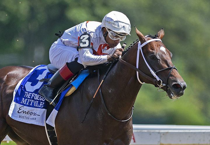 Mitole wins the 2019 Forego Stakes at Saratoga Race Course