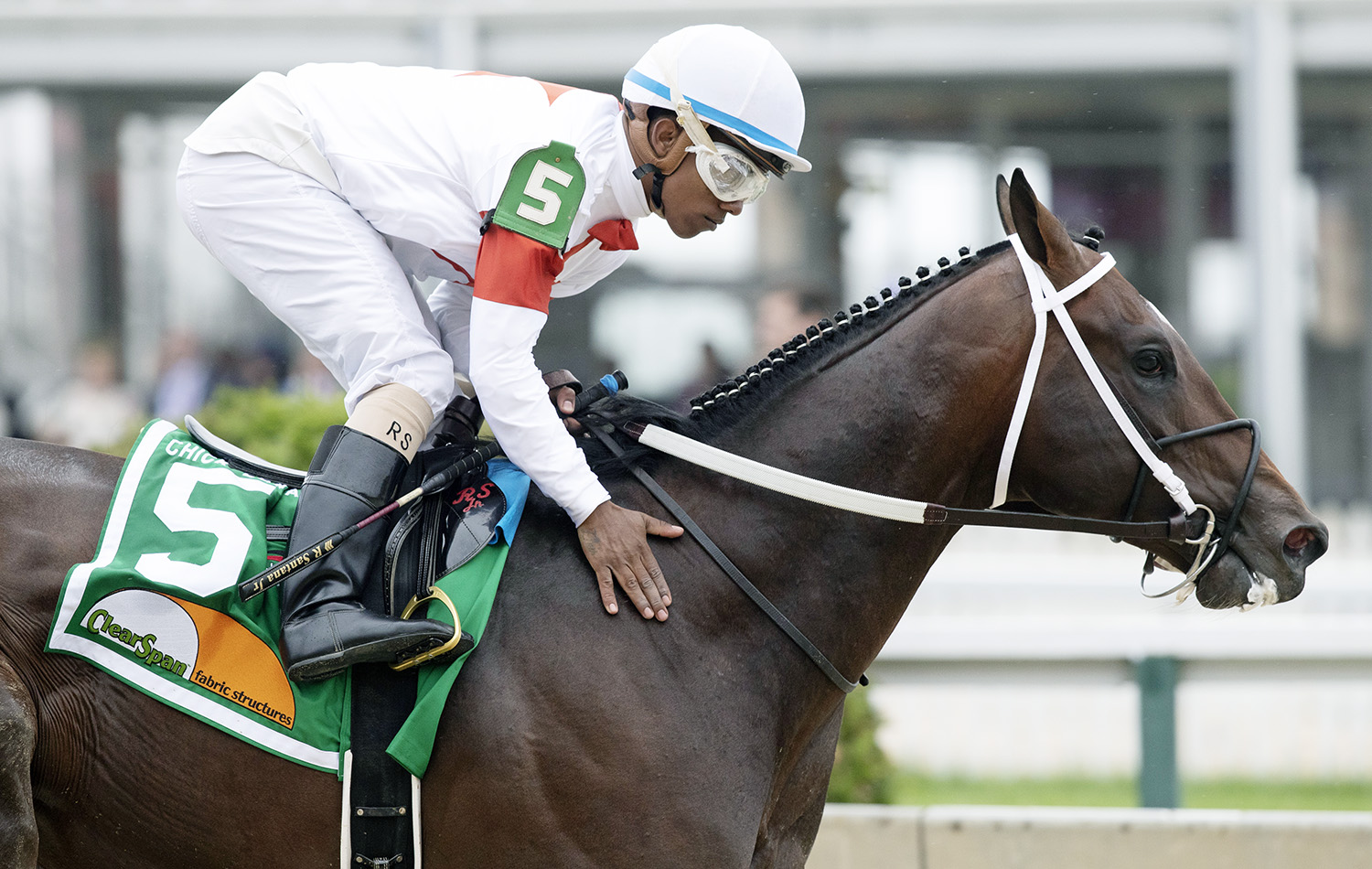 Mitole wins the 2018 Chick Lang Stakes