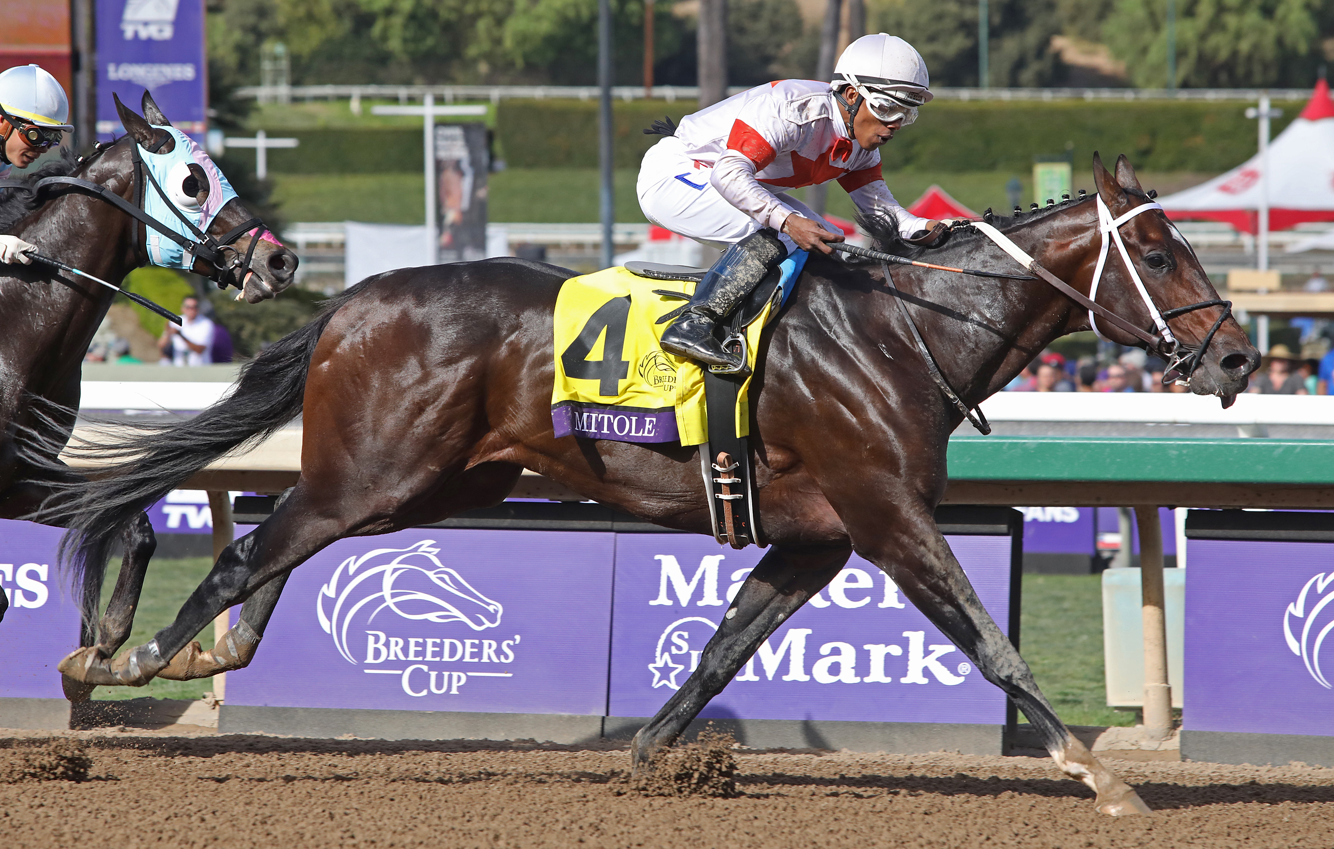 Mitole wins the 2019 BC Sprint