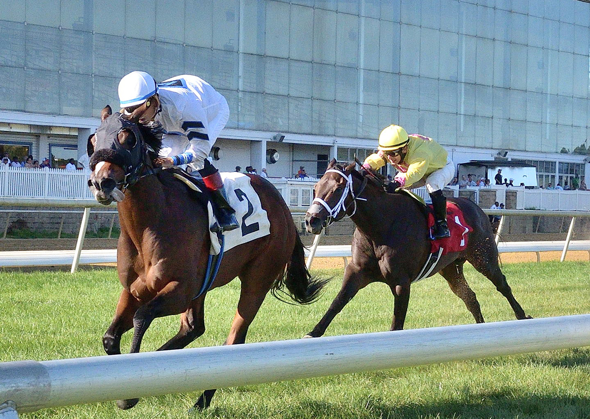 Miz Mayhem wins the 2018 Stormy Blues Stakes
