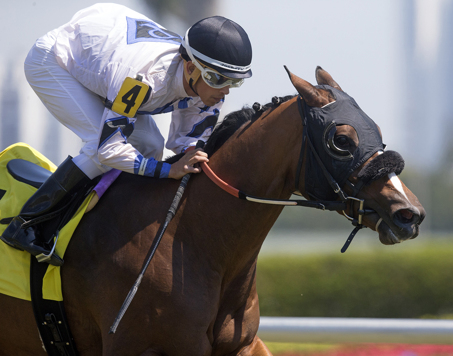 Miz Mayhem wins a March 22 allowance