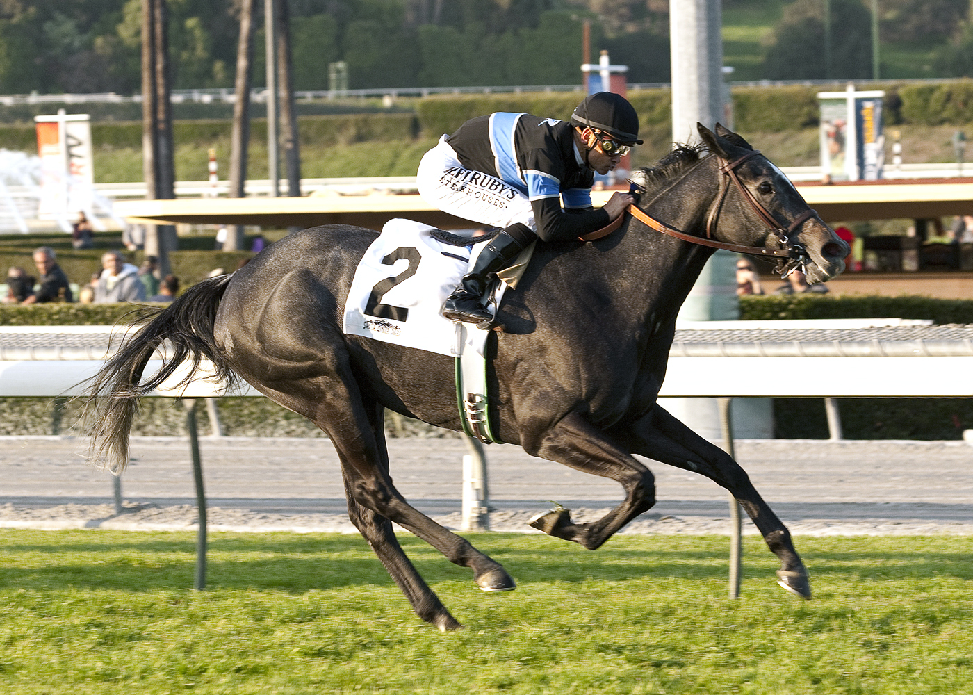 Mizdirection, Buena Vista Stakes