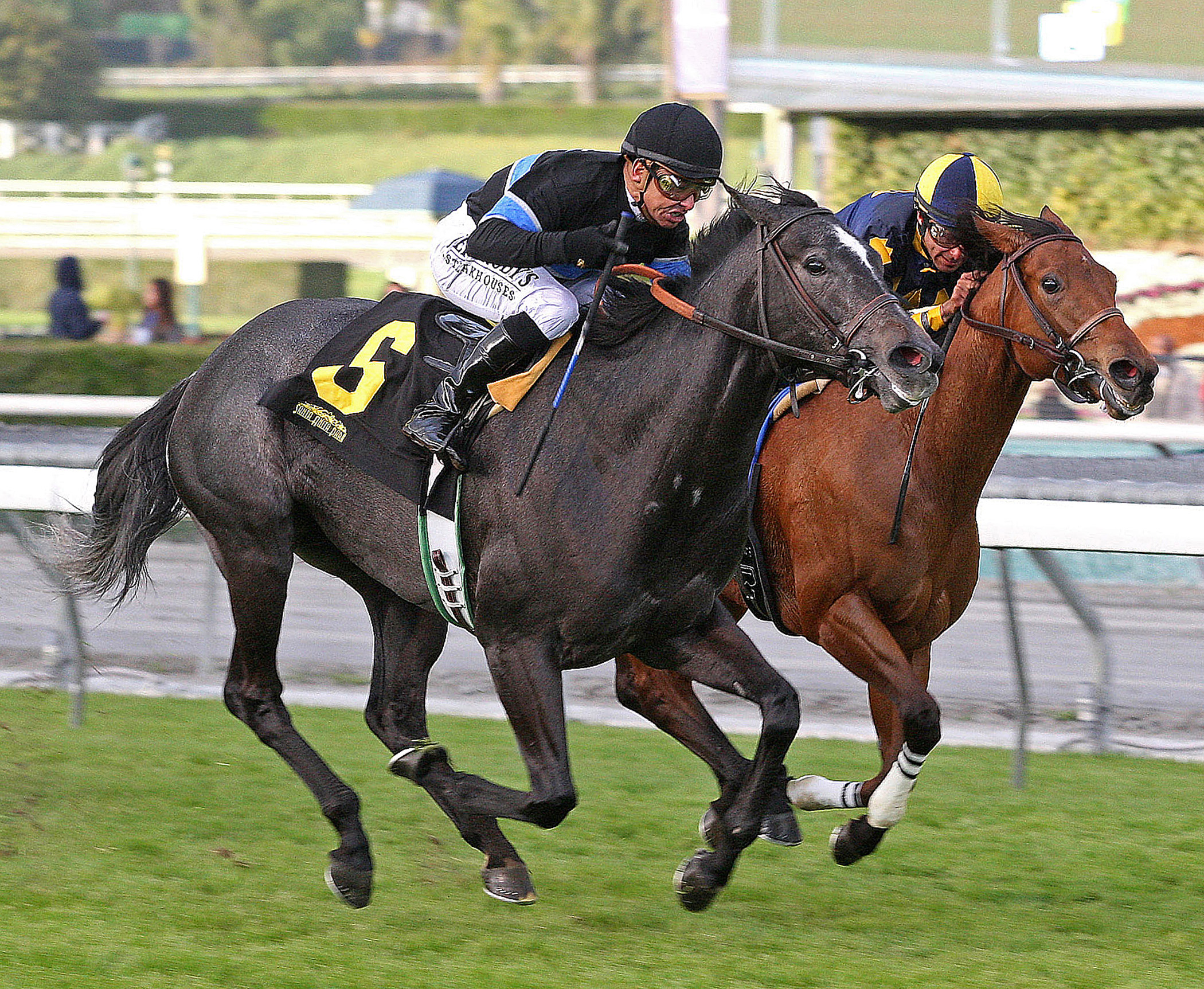 Mizdirection, Monrovia Stakes