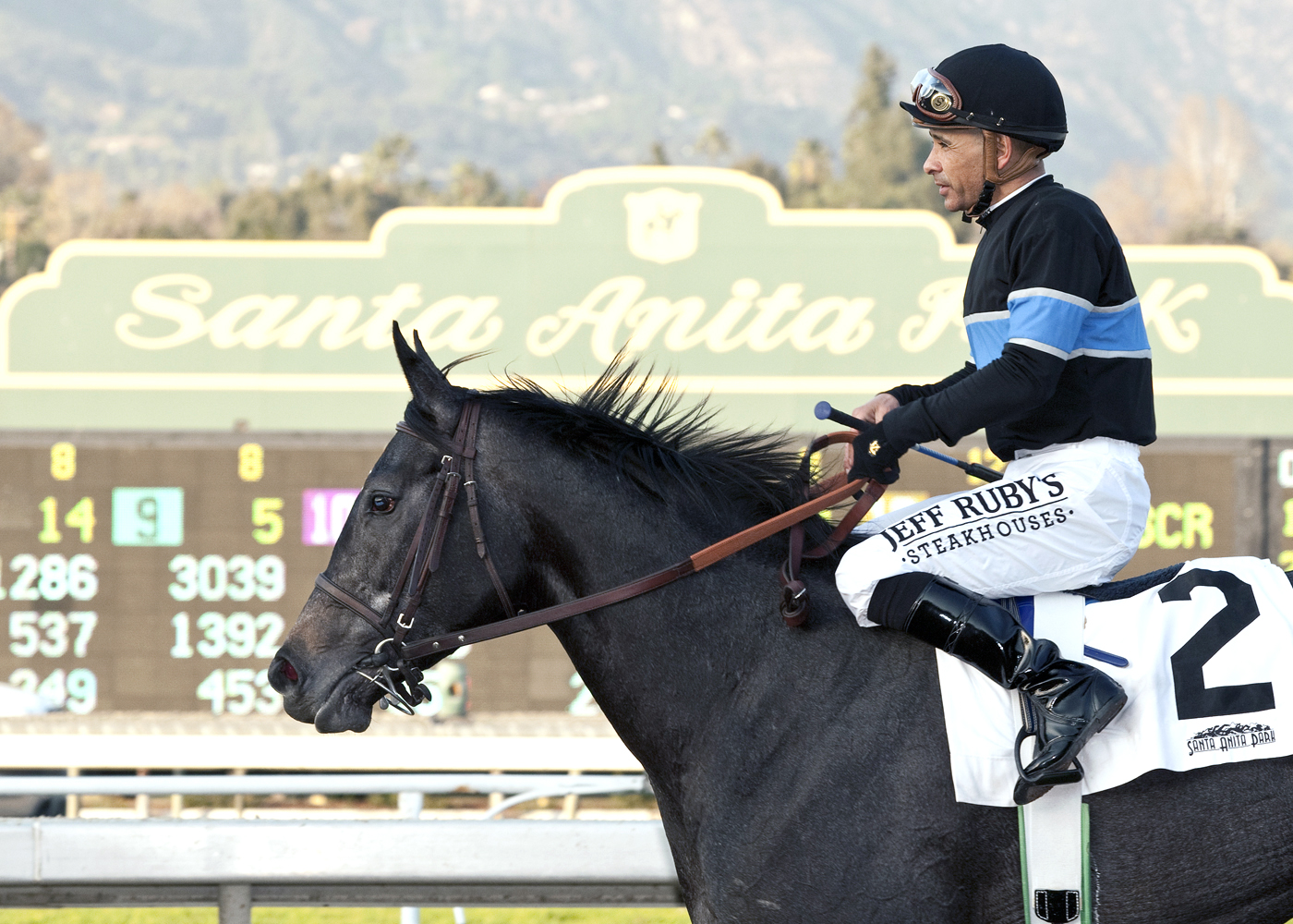 Mizdirection, Buena Vista Stakes