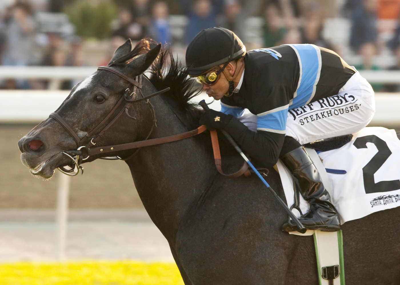 Mizdirection, Buena Vista Stakes
