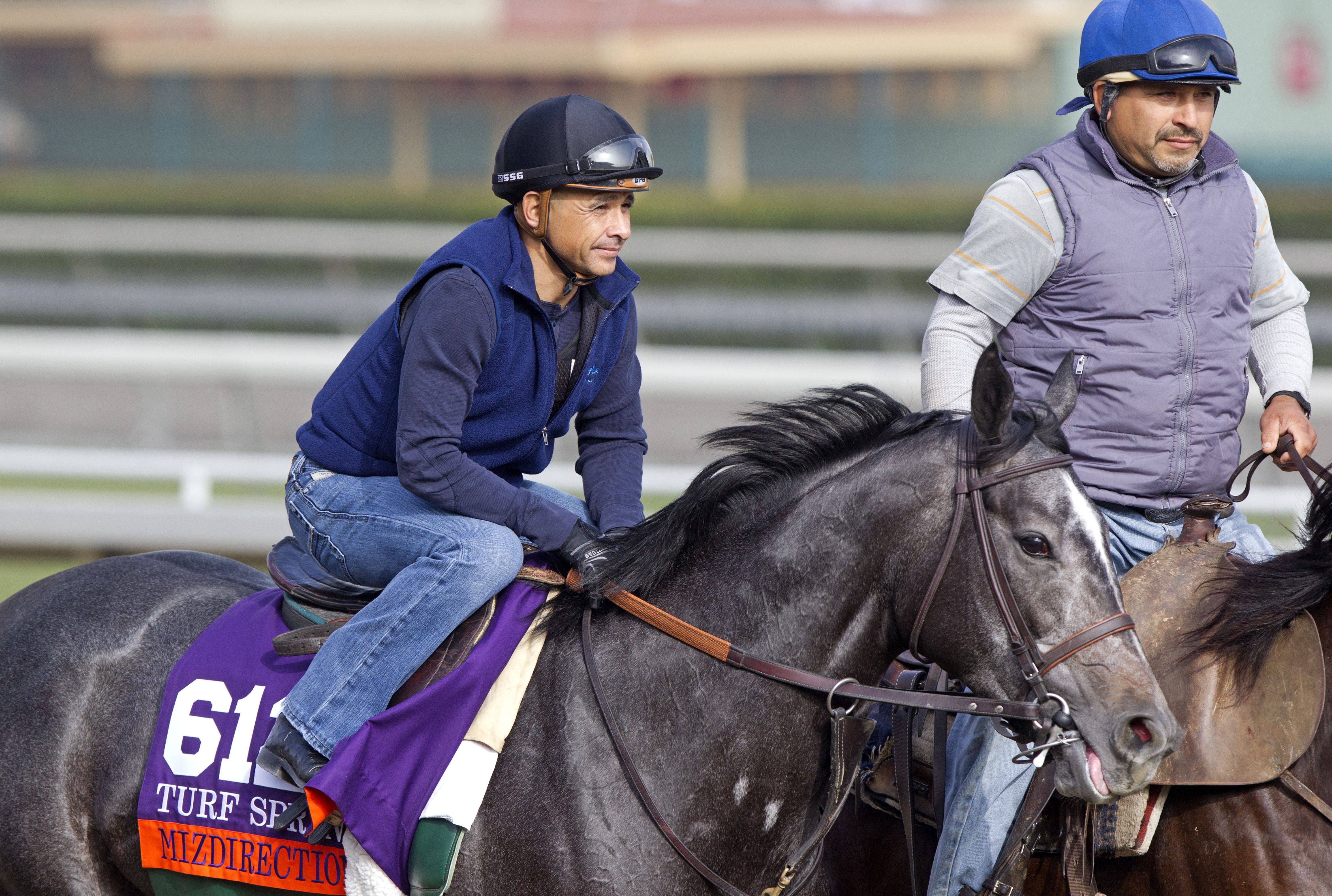 Mizdirection at Santa Anita Park