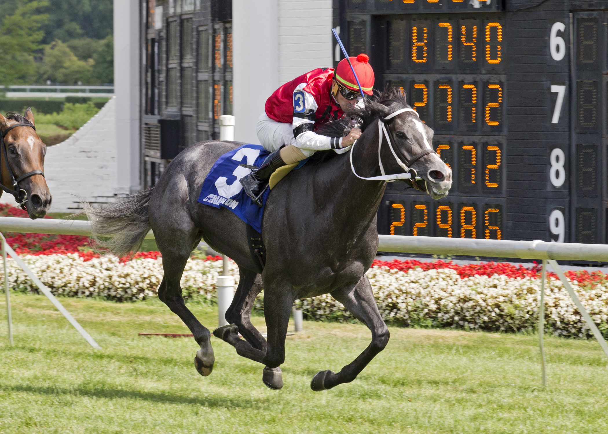 Mizz Money wins the Pucker Up Stakes