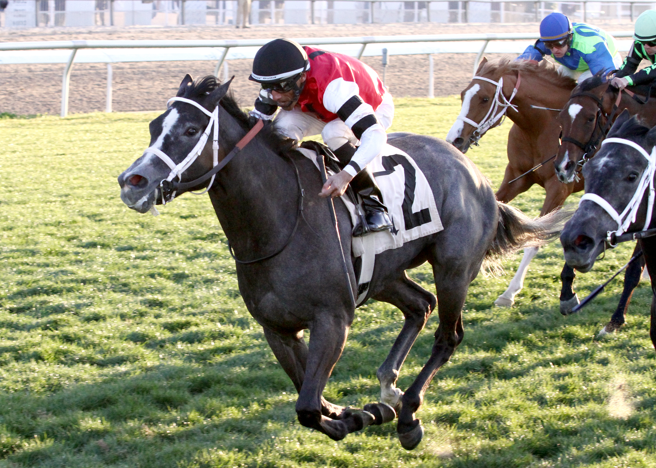 Mizz Money could return to dirt for FG Oaks