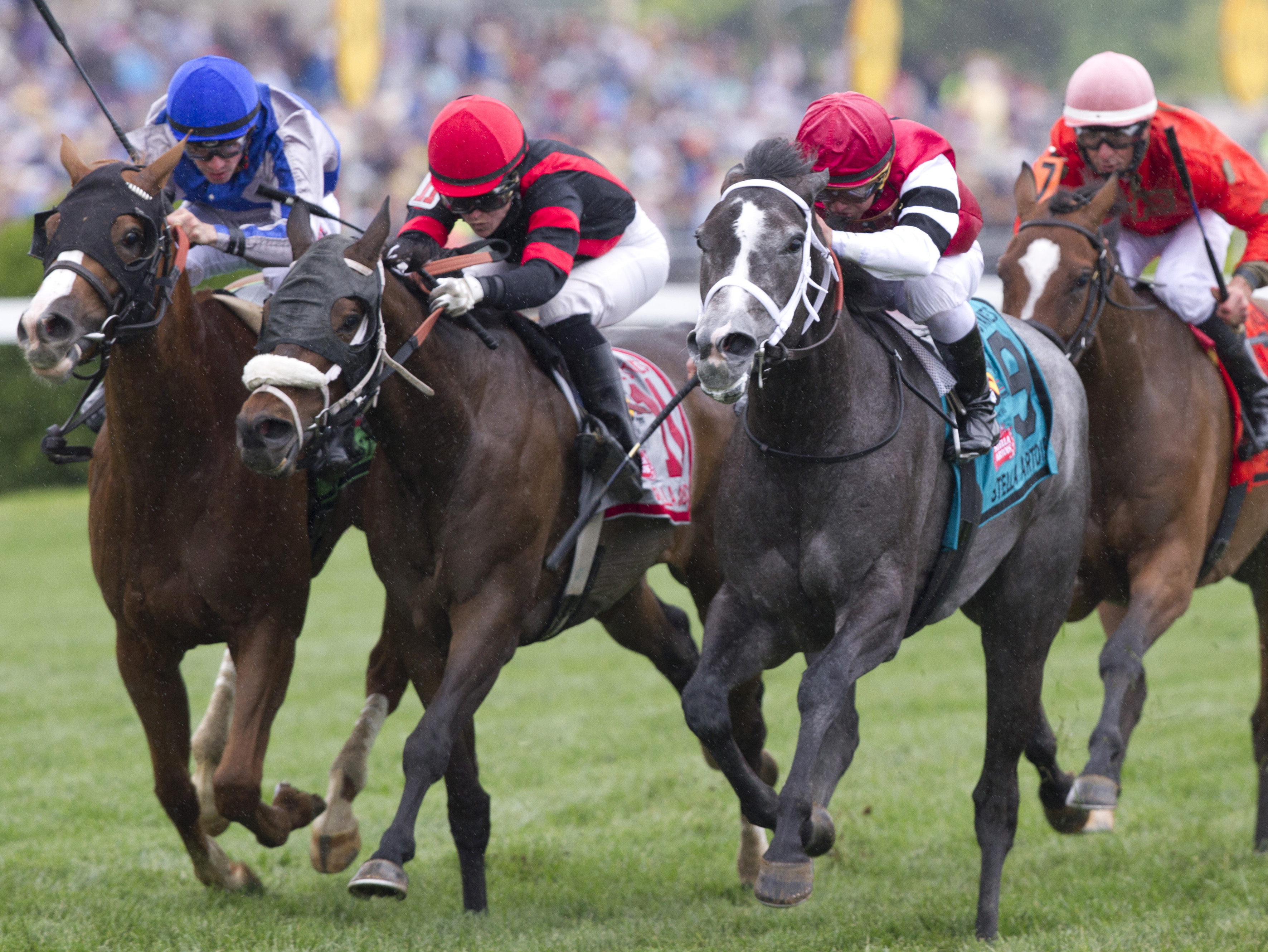 Mizz Money wins the 2016 Gallorette