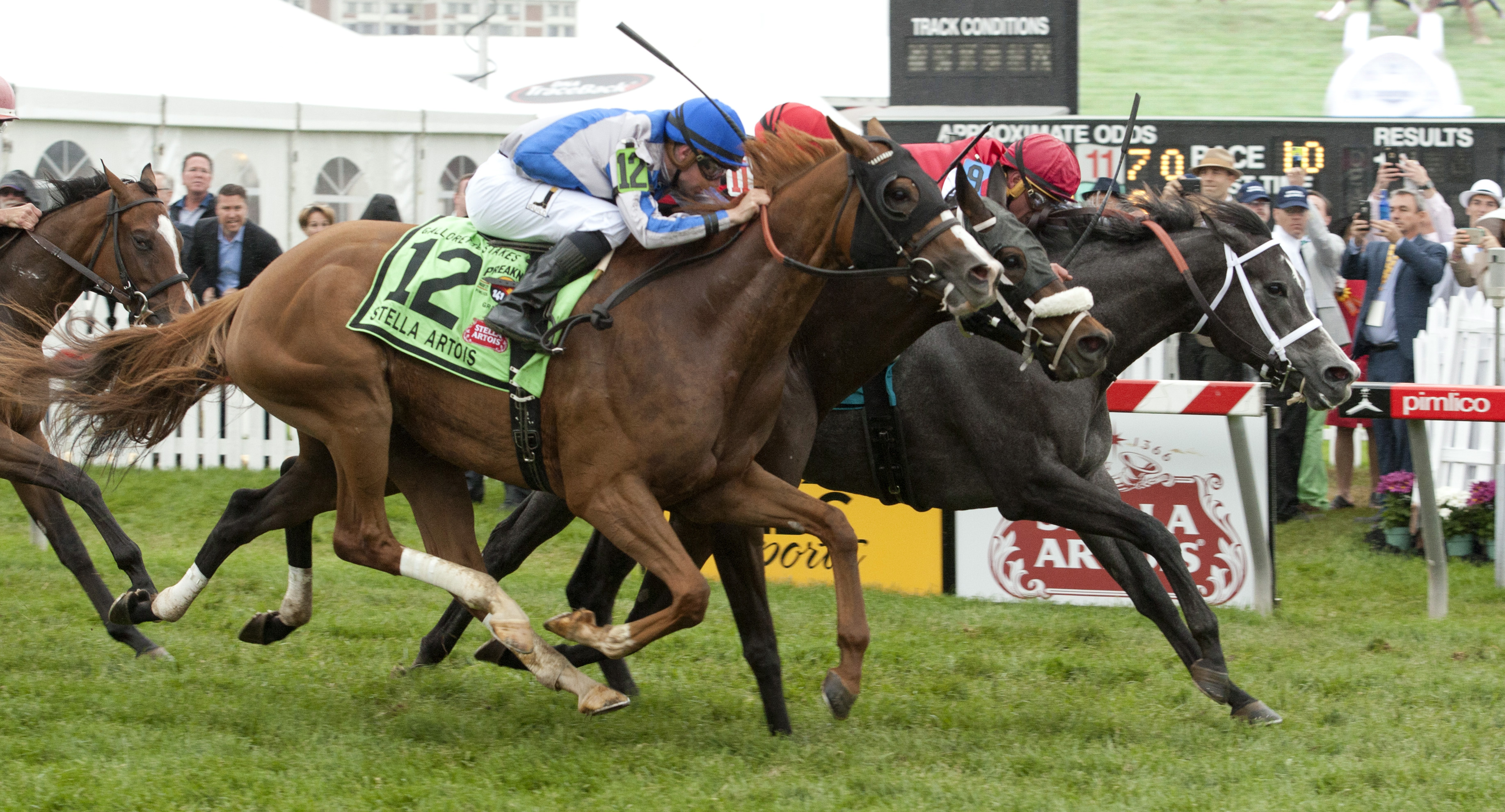 Mizz Money wins the Gallorette