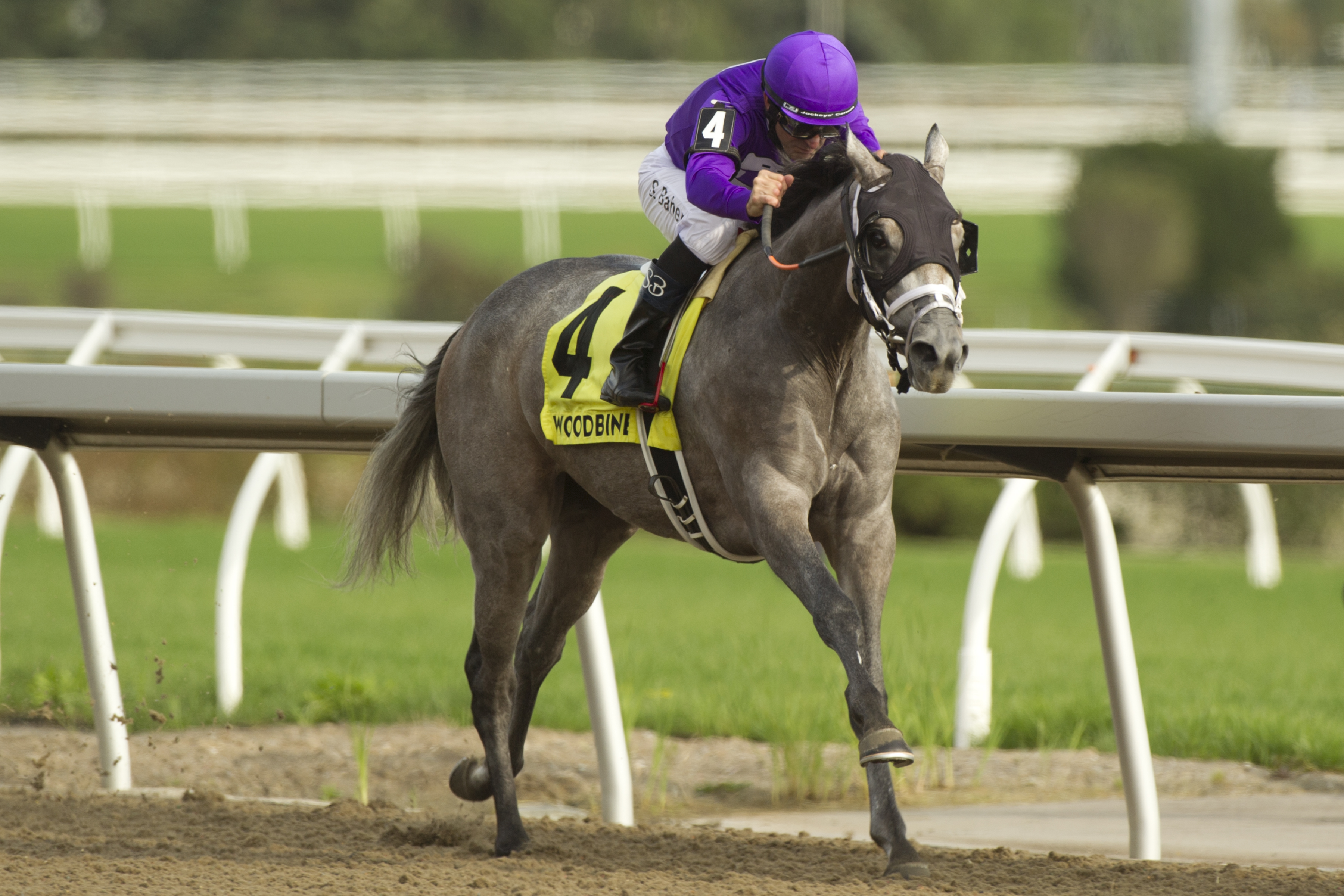 Mizzen Beau.Bison City Stakes.9-12-2020