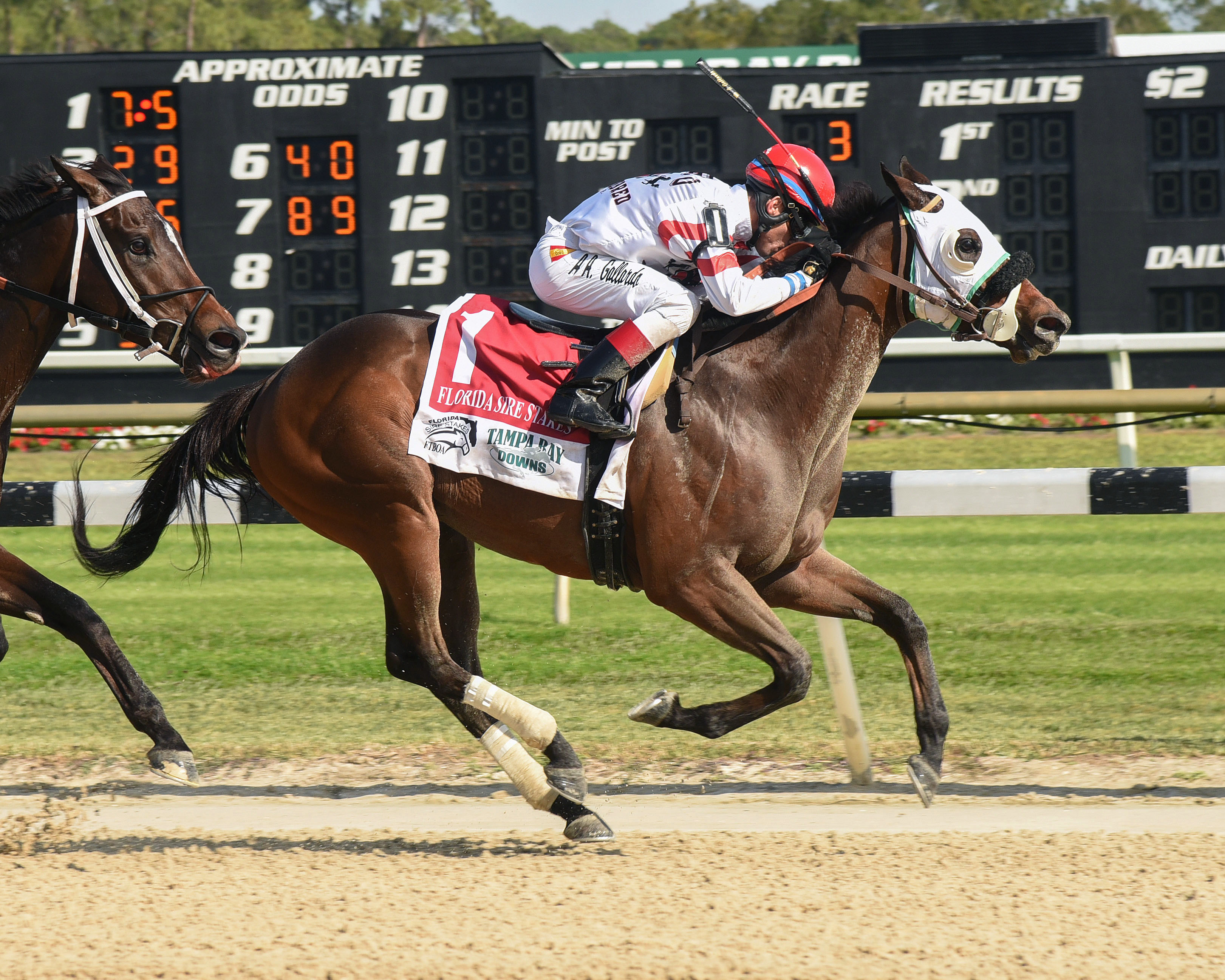 Mo Cash wins the Marion County Florida Sire Stakes