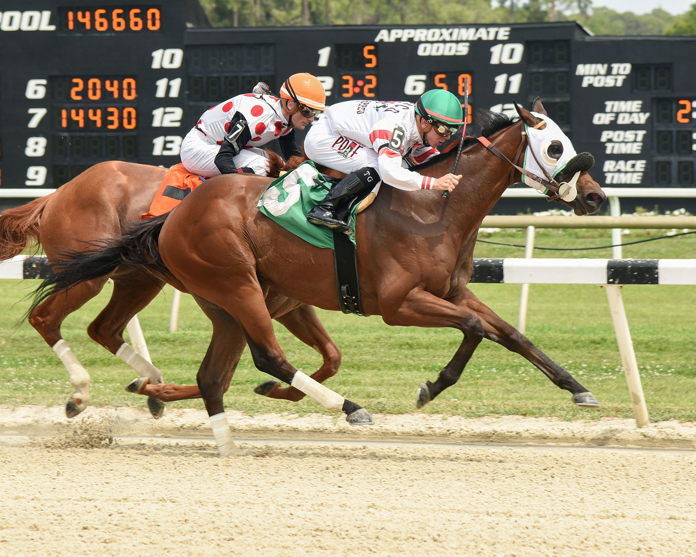 Mo Cash wins the Florida Cup Sophomore Stakes