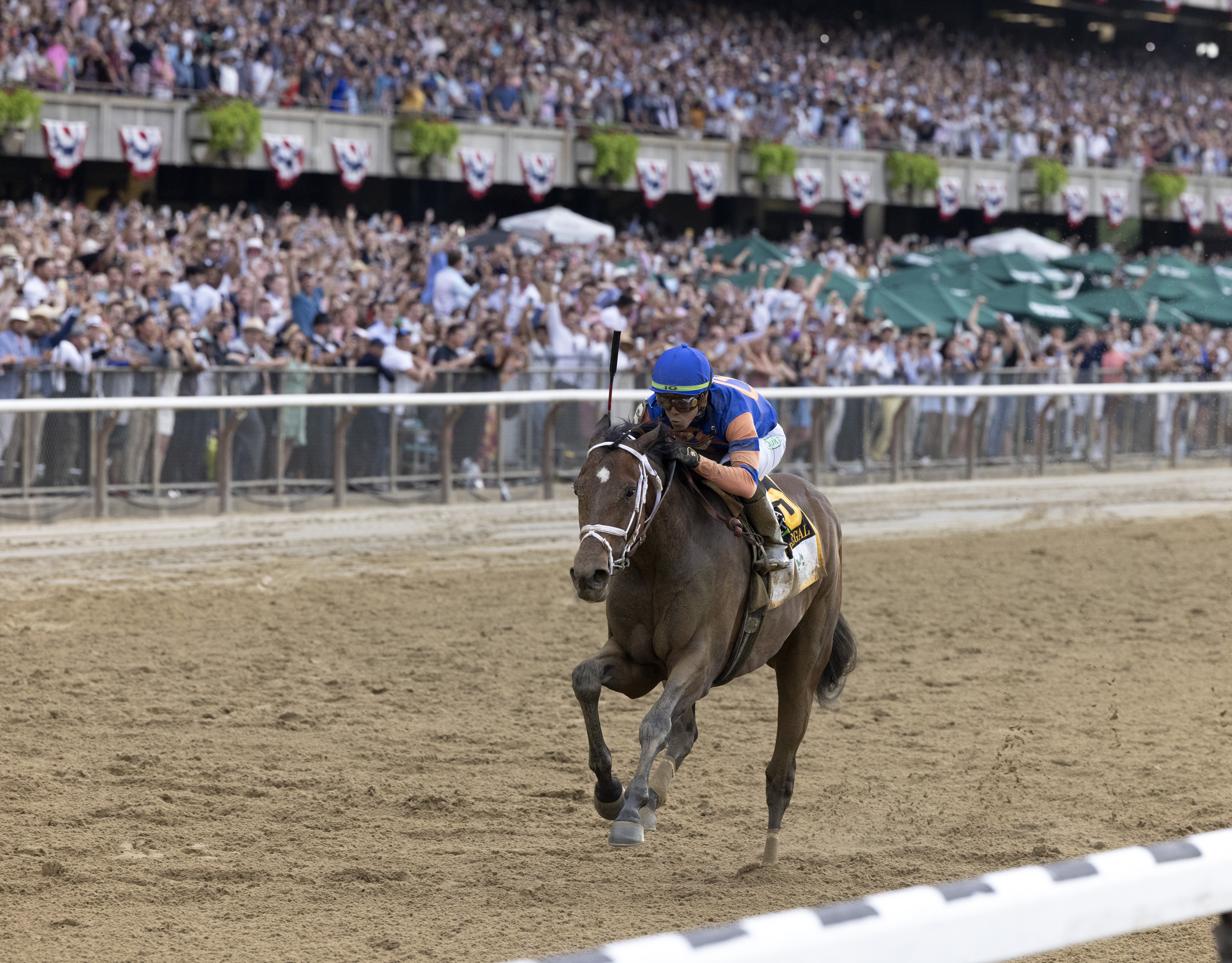Mo Donegal Belmont Stakes
