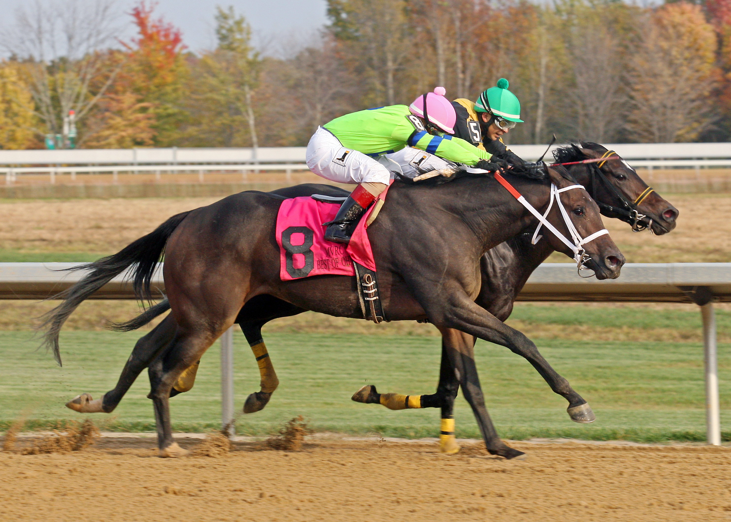 Mo Dont No wins the Best of Ohio Endurance Stakes