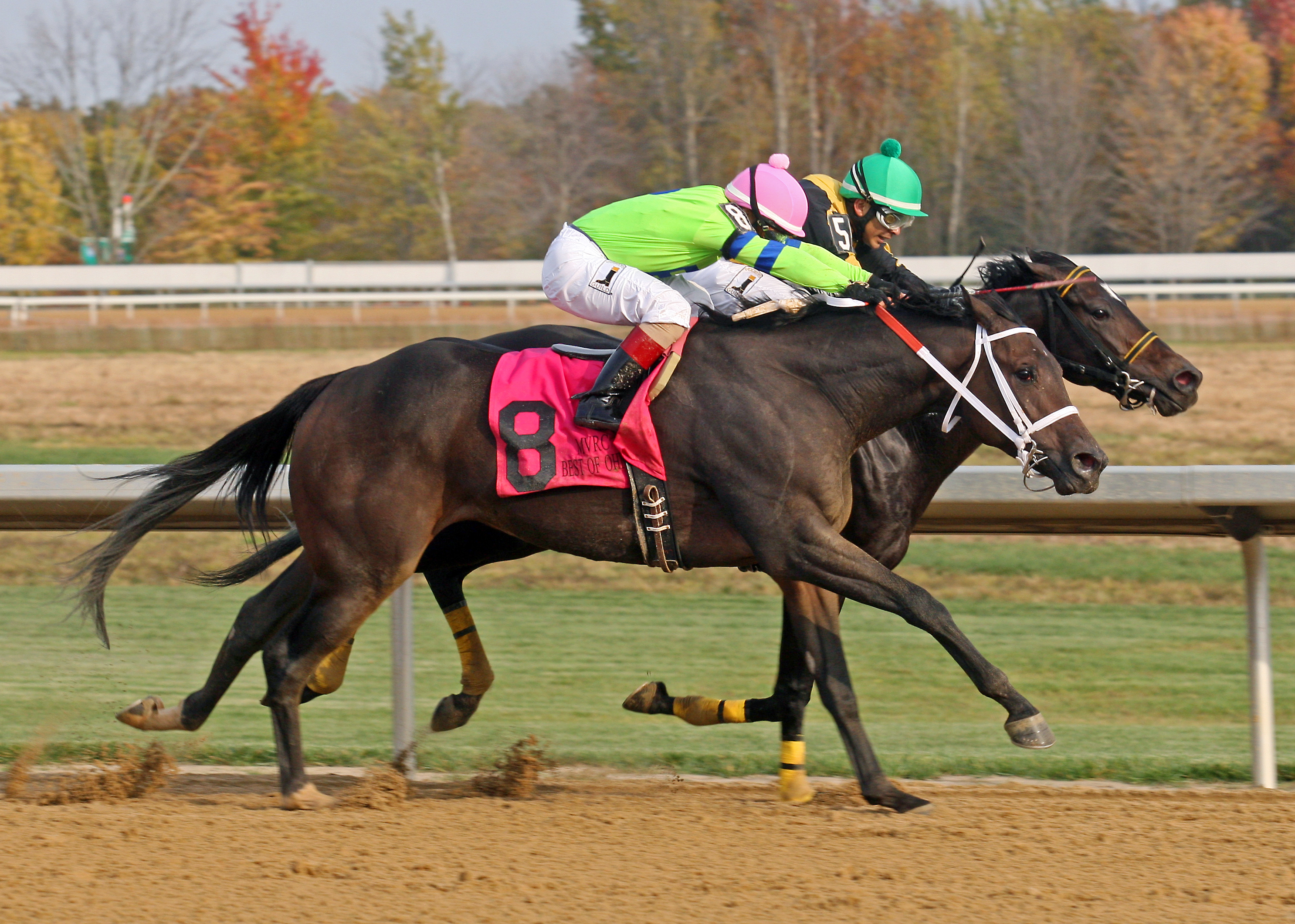 Mo Dont No wins the 2016 Best of Ohio Endurance Stakes