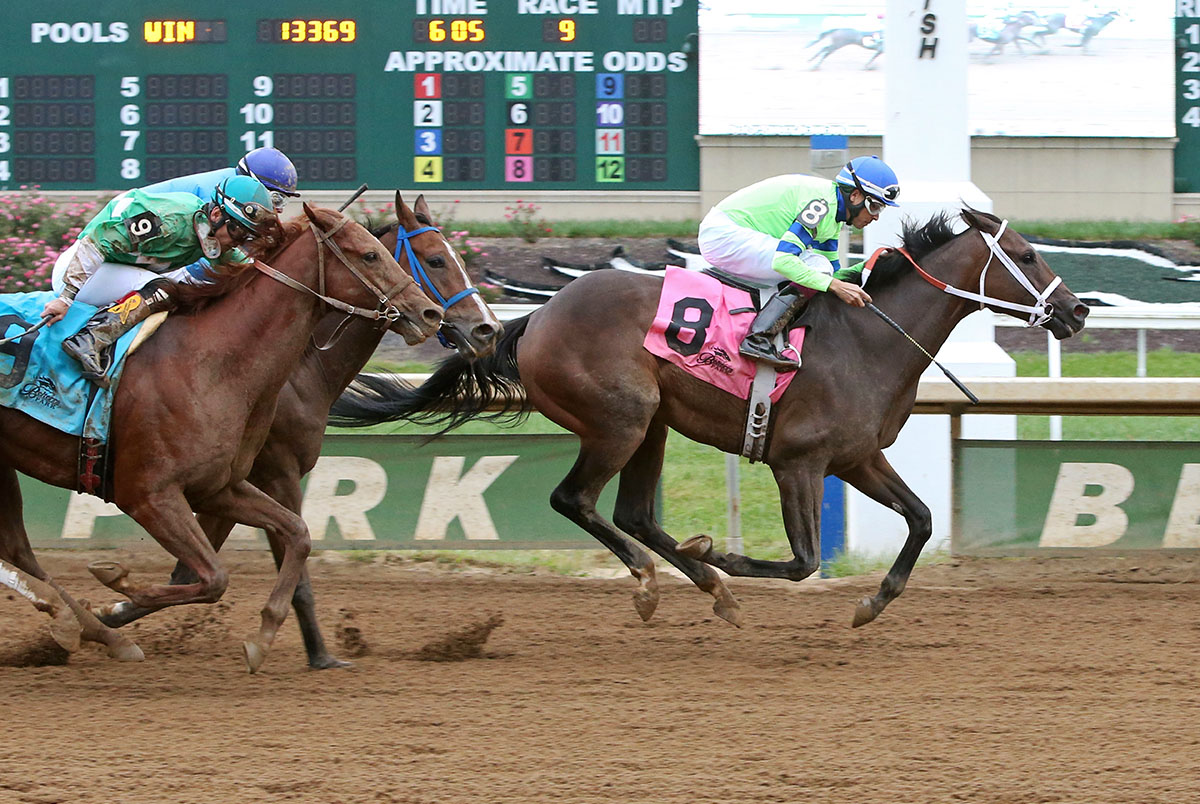 Mo Dont No wins the 2017 Best of Ohio Endurance Stakes