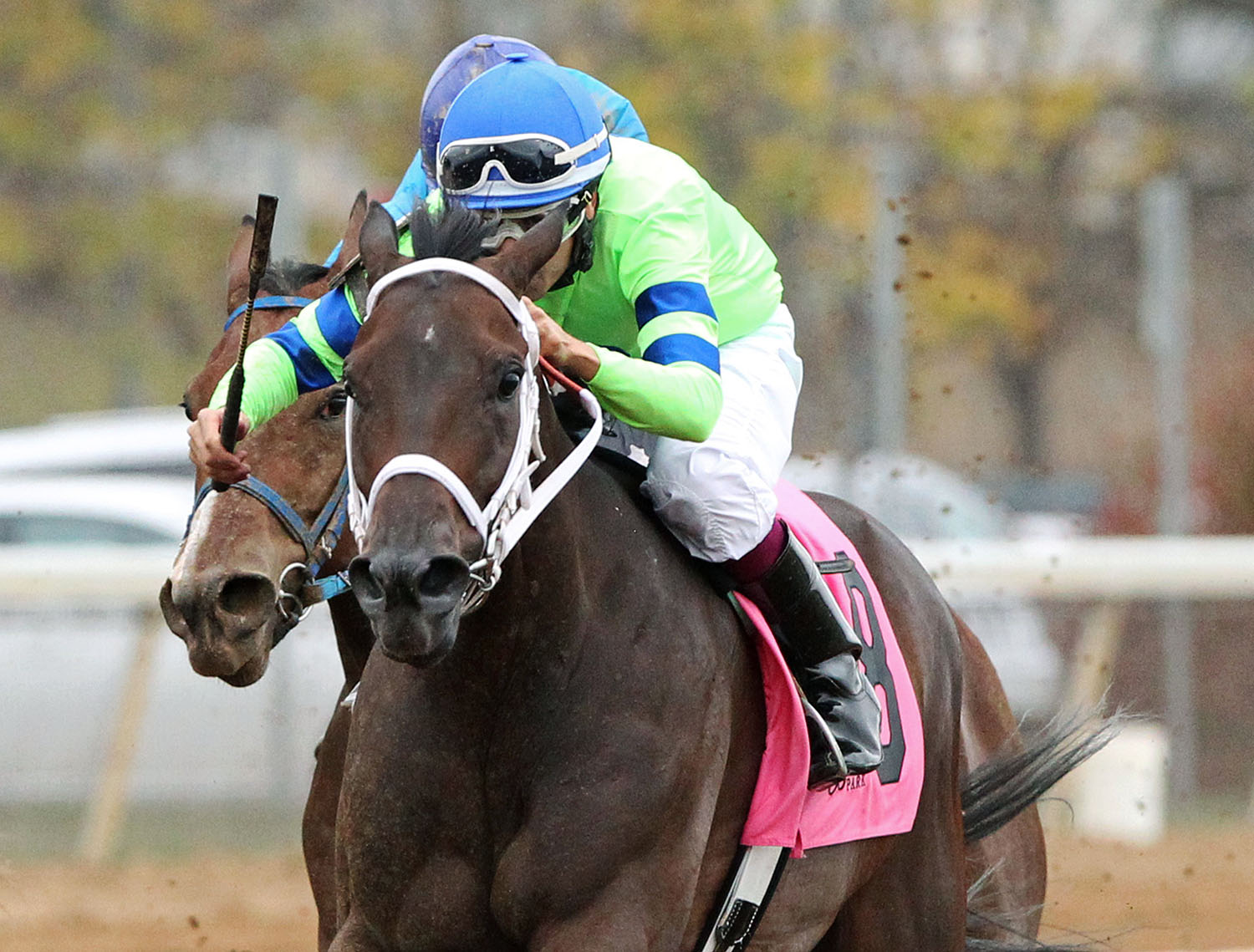 Mo Dont No wins the 2017 Best of Ohio Endurance Stakes