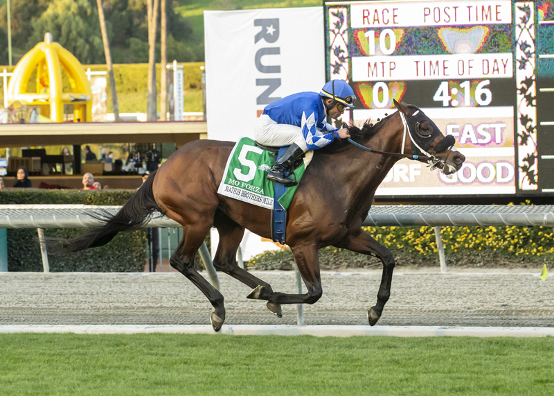 Mo Forza wins the 2019 Mathis Brothers Mile