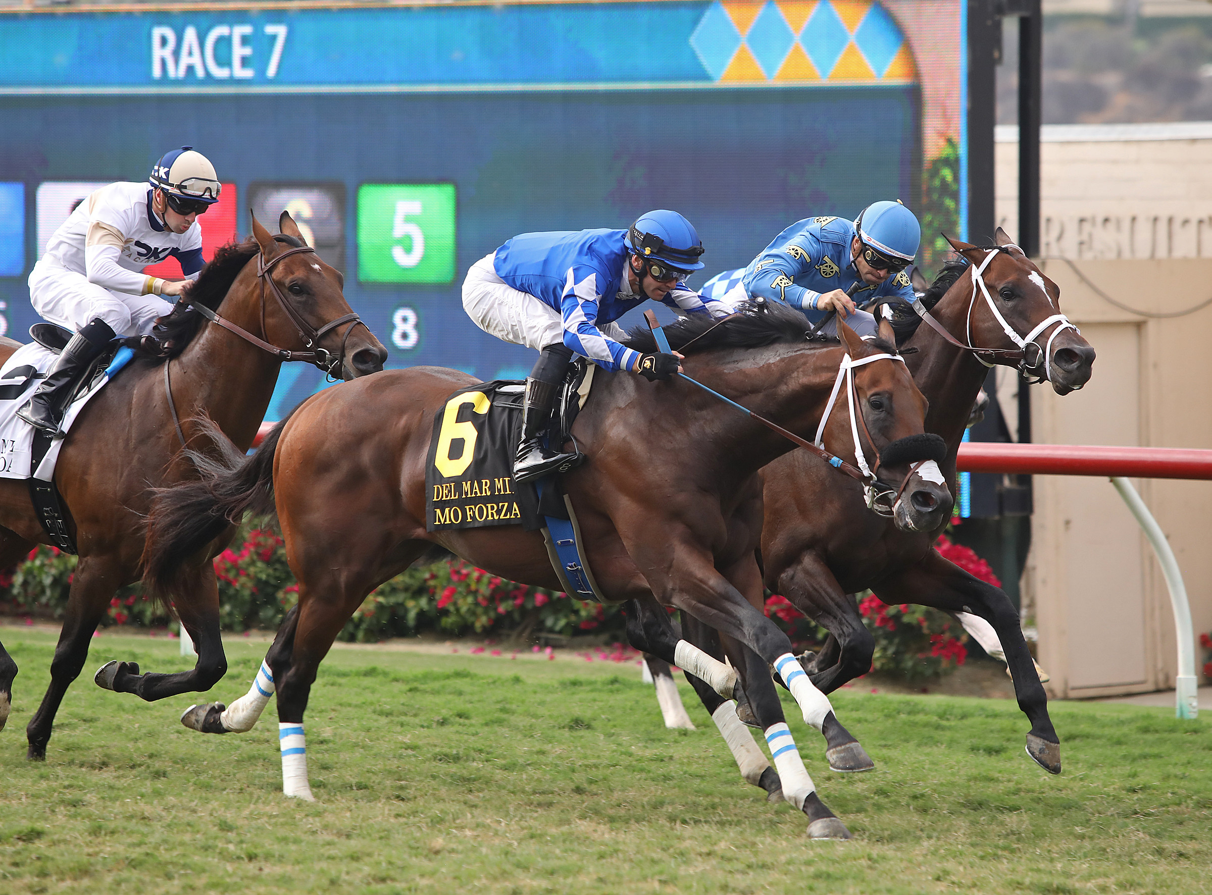 Mo Forza overtakes Smooth Like Strait in the Del Mar Mile.8-21-2021