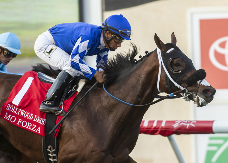 Mo Forza wins the 2019 Hollywood Derby