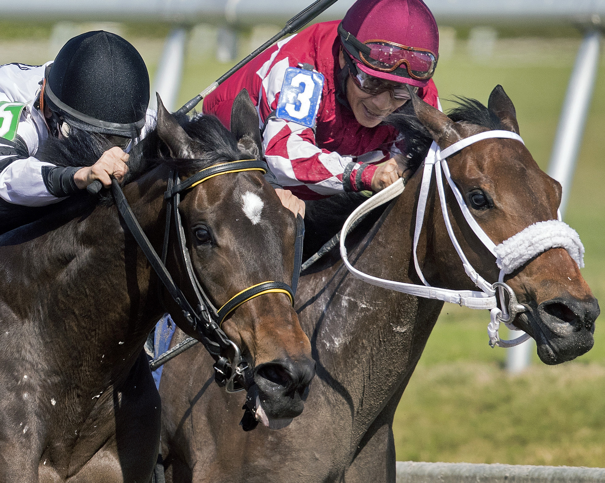 Meadow Rose finishes second in a Jan. 19 allowance to Mo Green