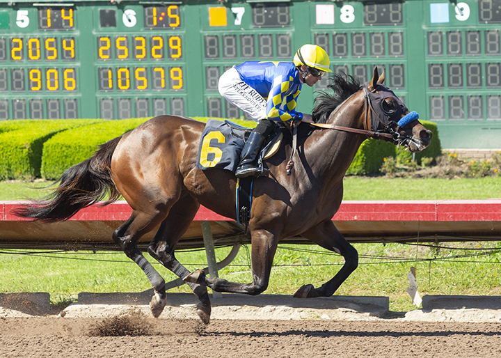 Mo Hawk wins a Sept. 6 maiden race at Los Alamitos Race Course