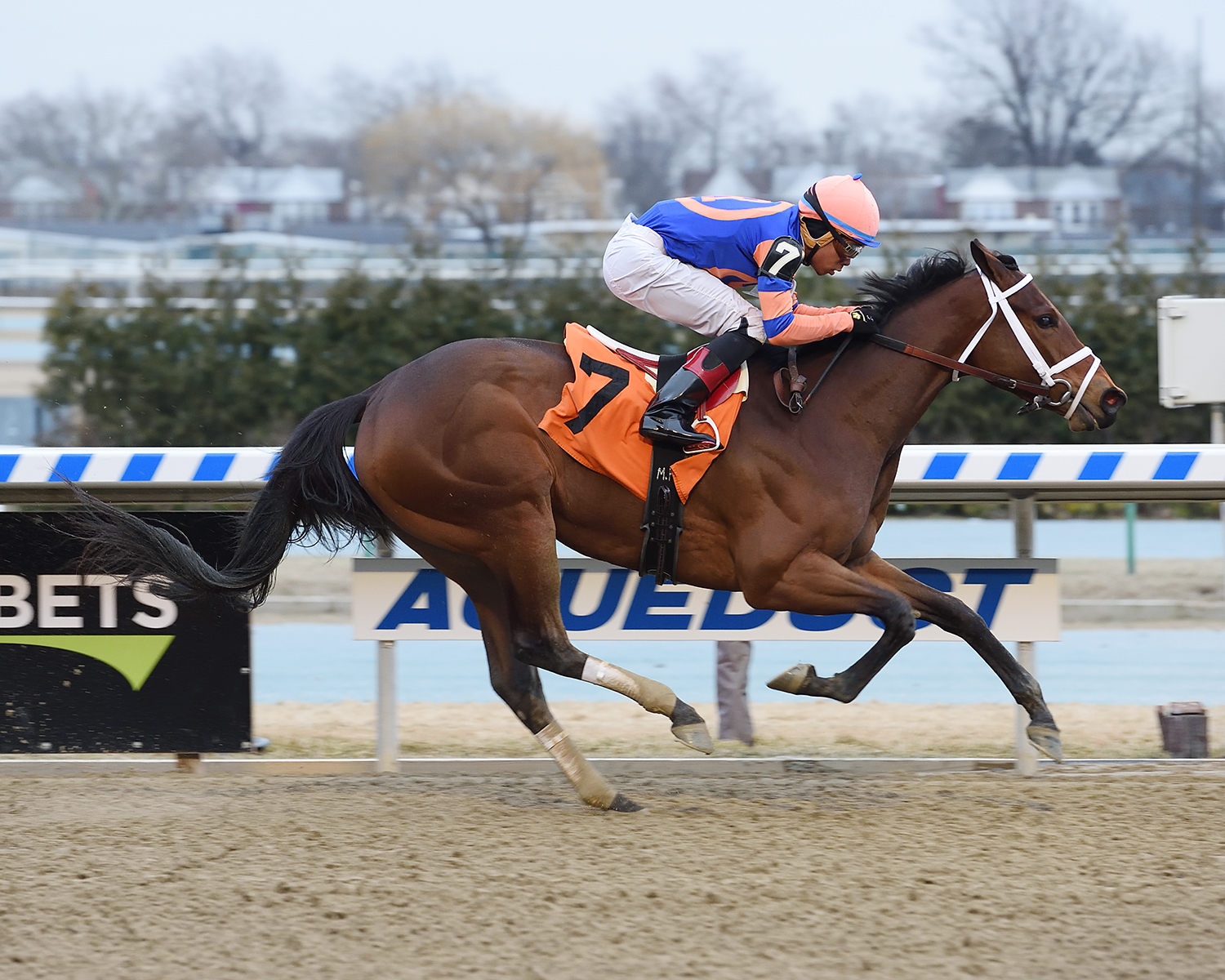 Mo Shopping wins a Feb. 19 allowance