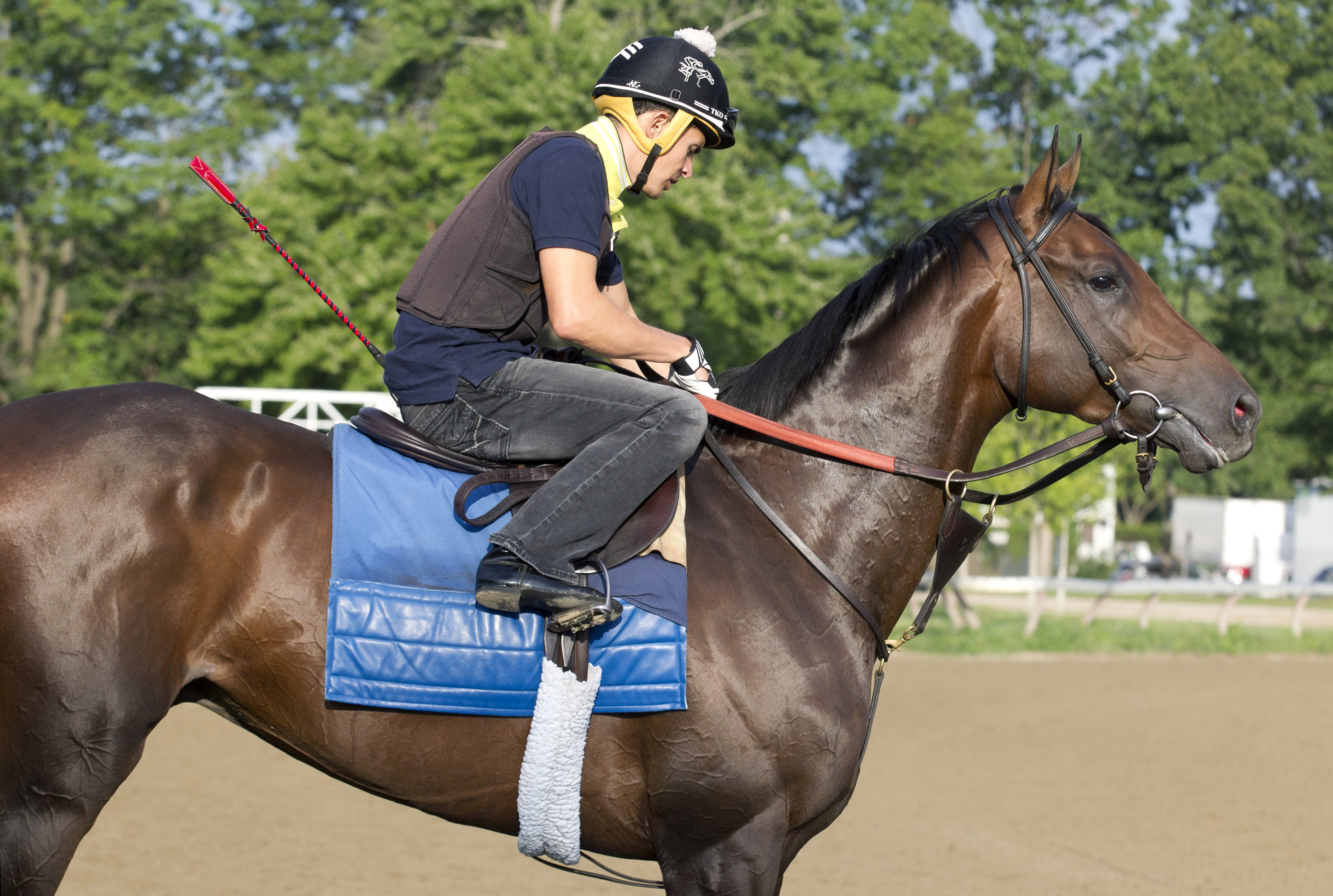 Mo Tom at Saratoga on Aug. 18