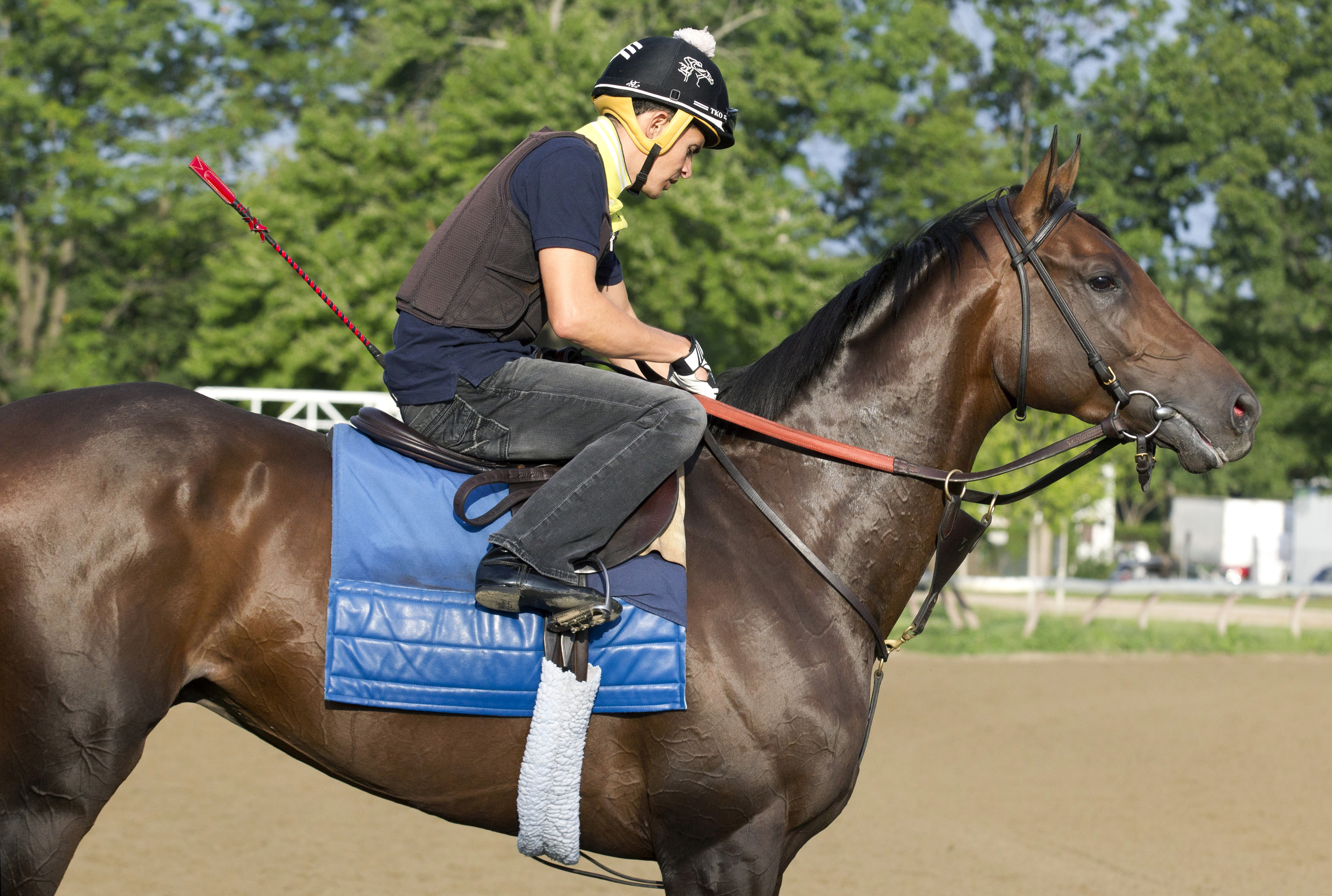 Mo Tom at Saratoga in August 2016