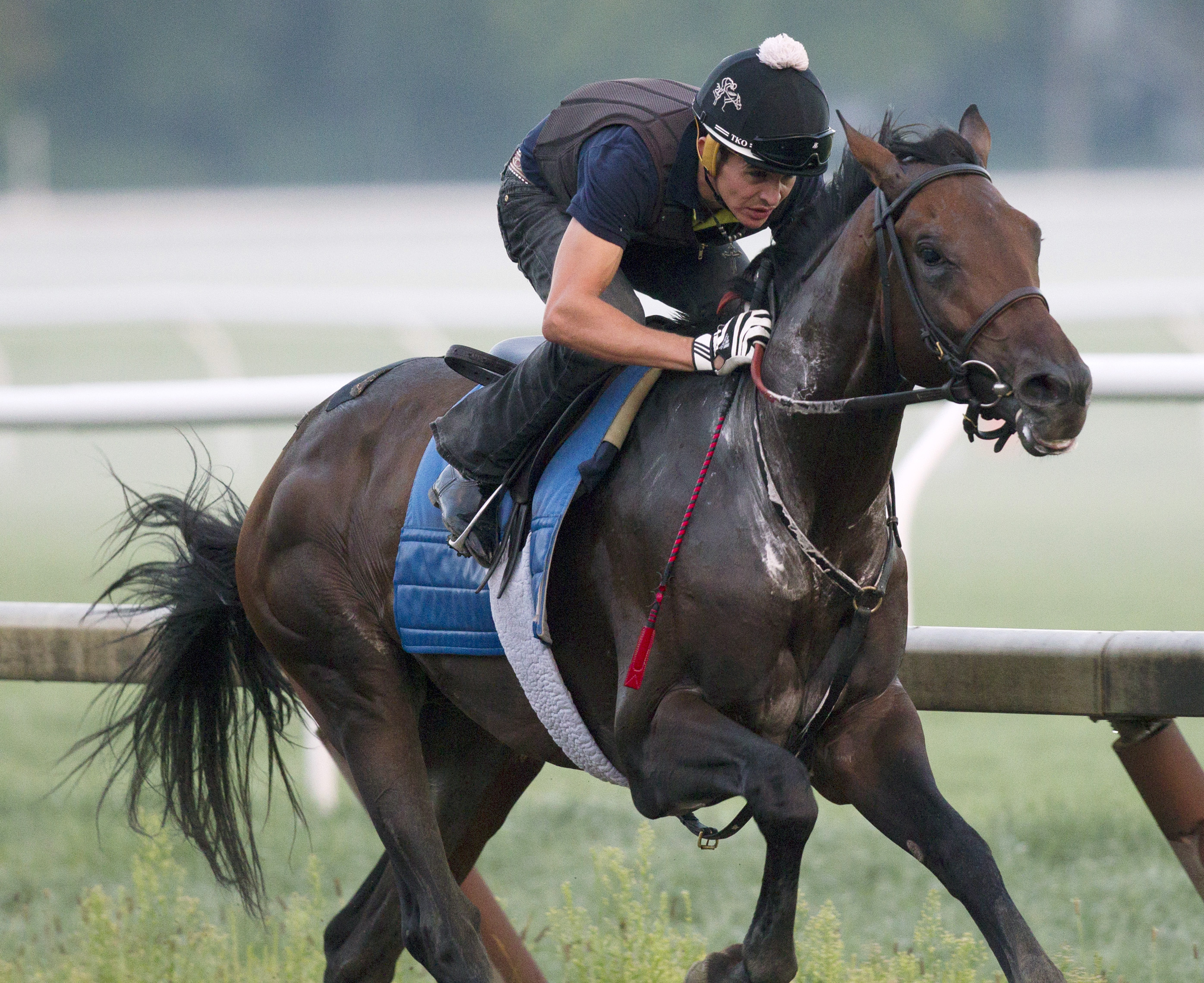 Mo Tom trains at Saratoga on Aug. 19
