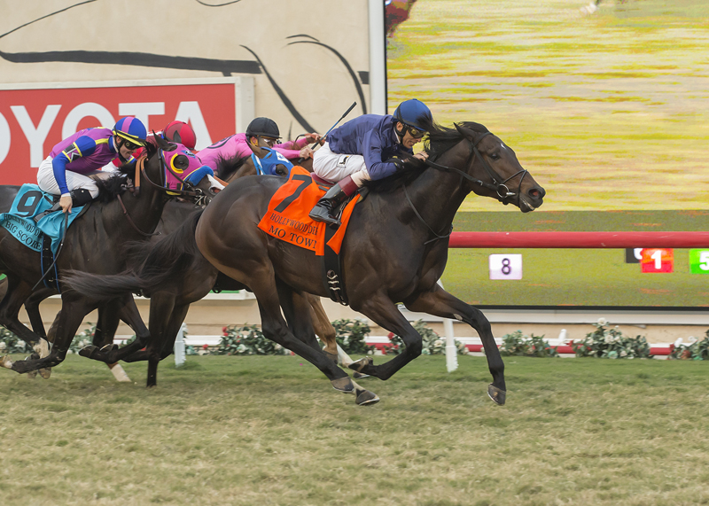 Mo Town (#7) wins the 2017 Hollywood Derby