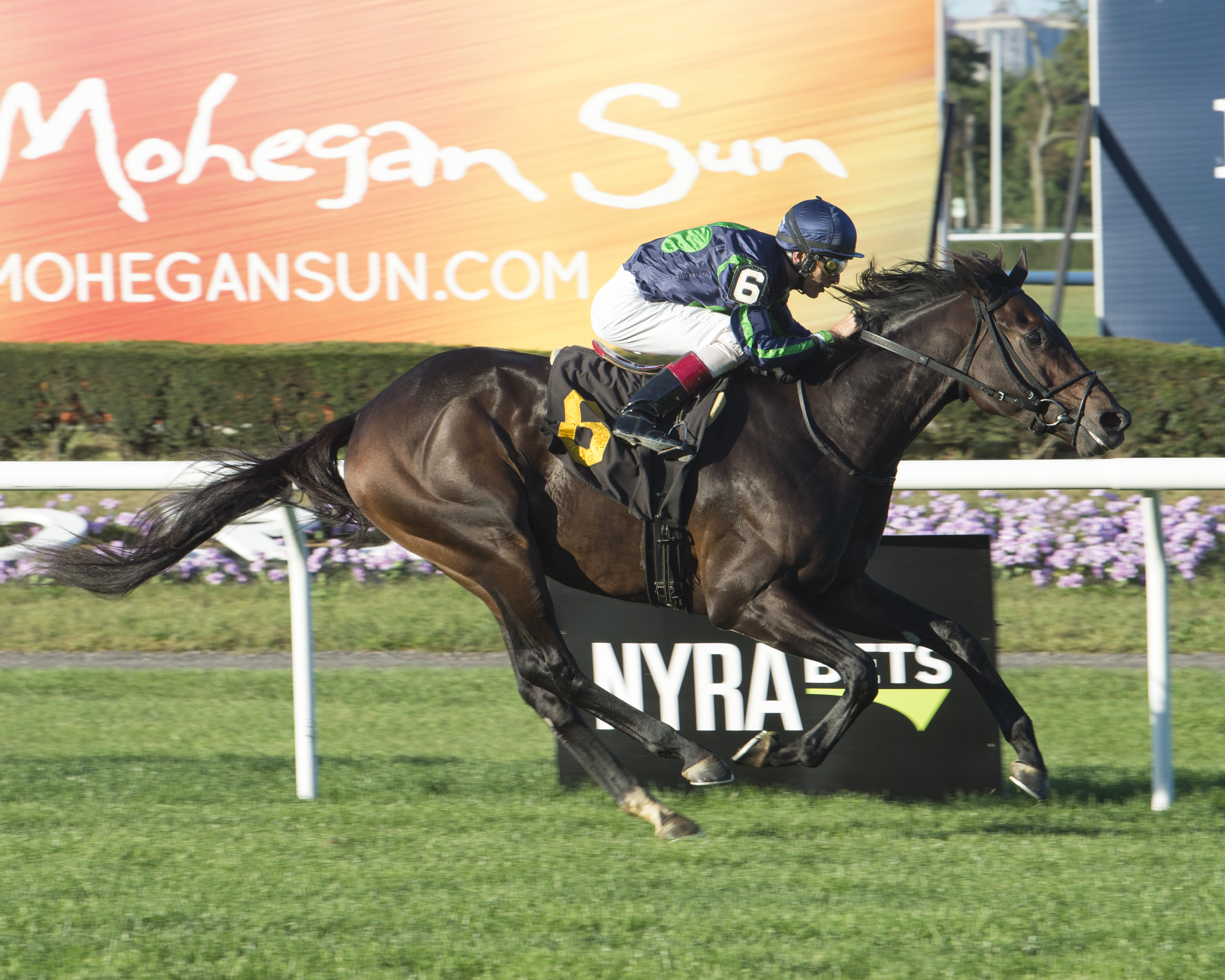 Mo Town wins an Oct. 12 allowance race