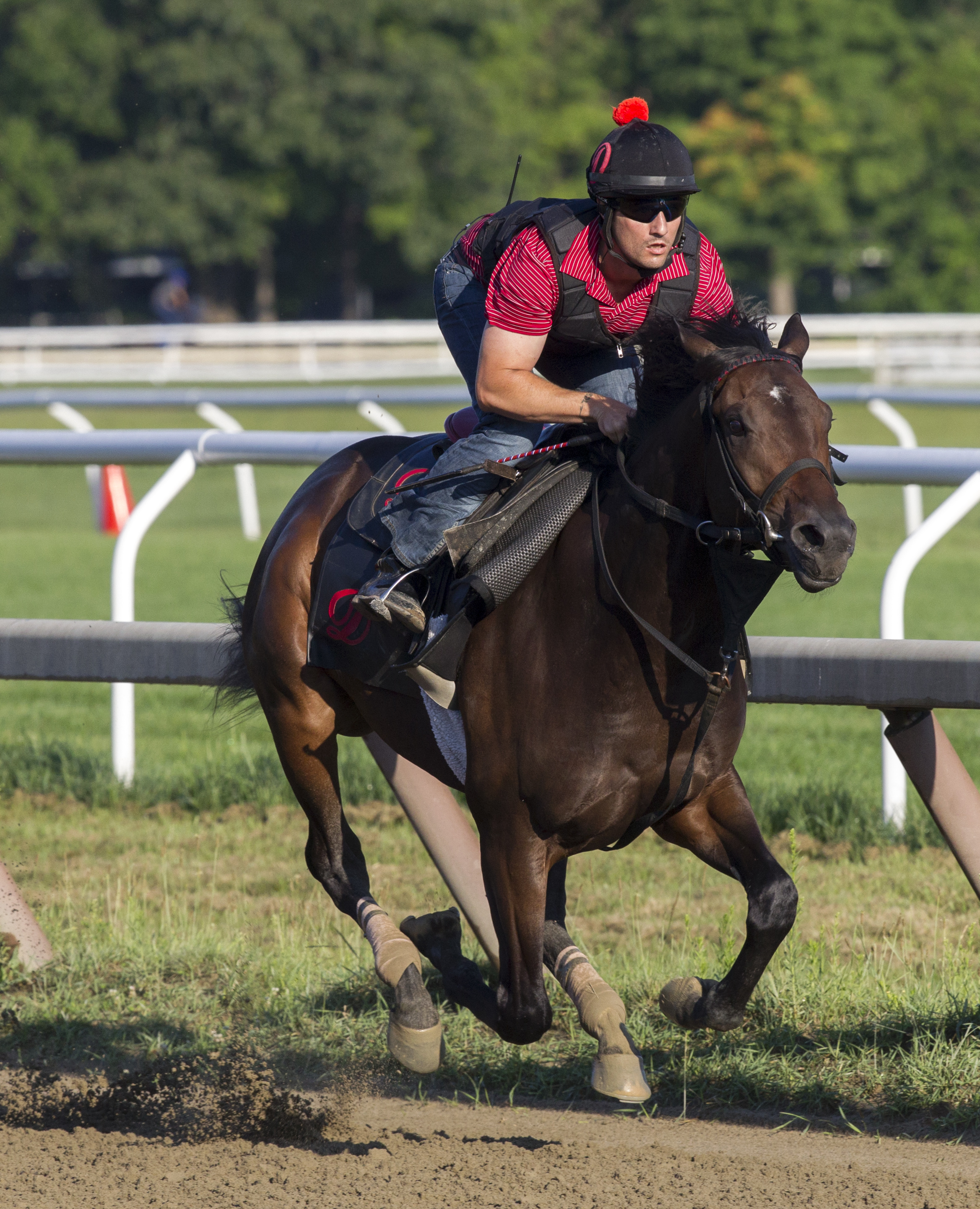 Mo Town trains at Saratoga on Aug. 4