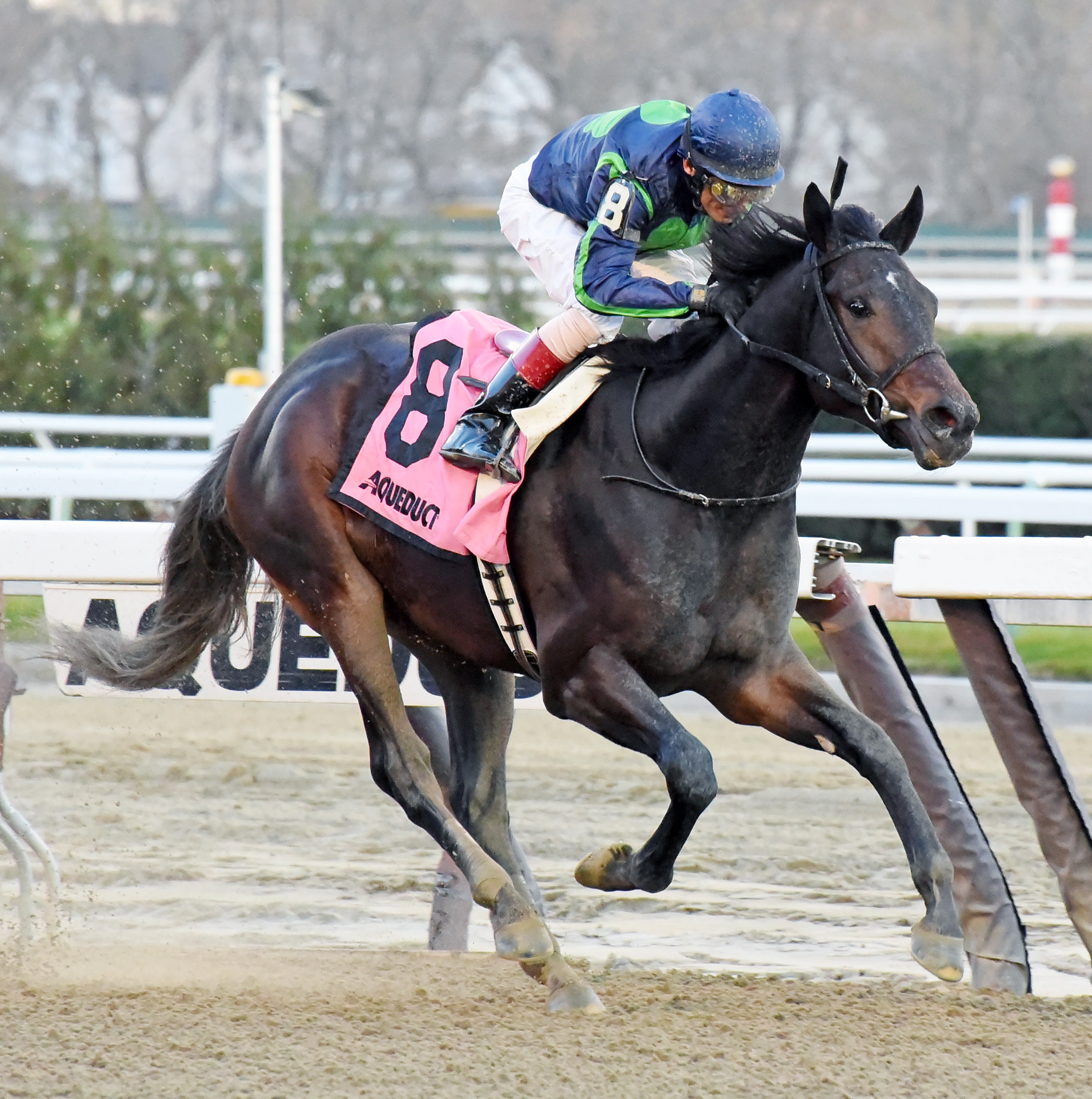 Mo Town wins the Remsen