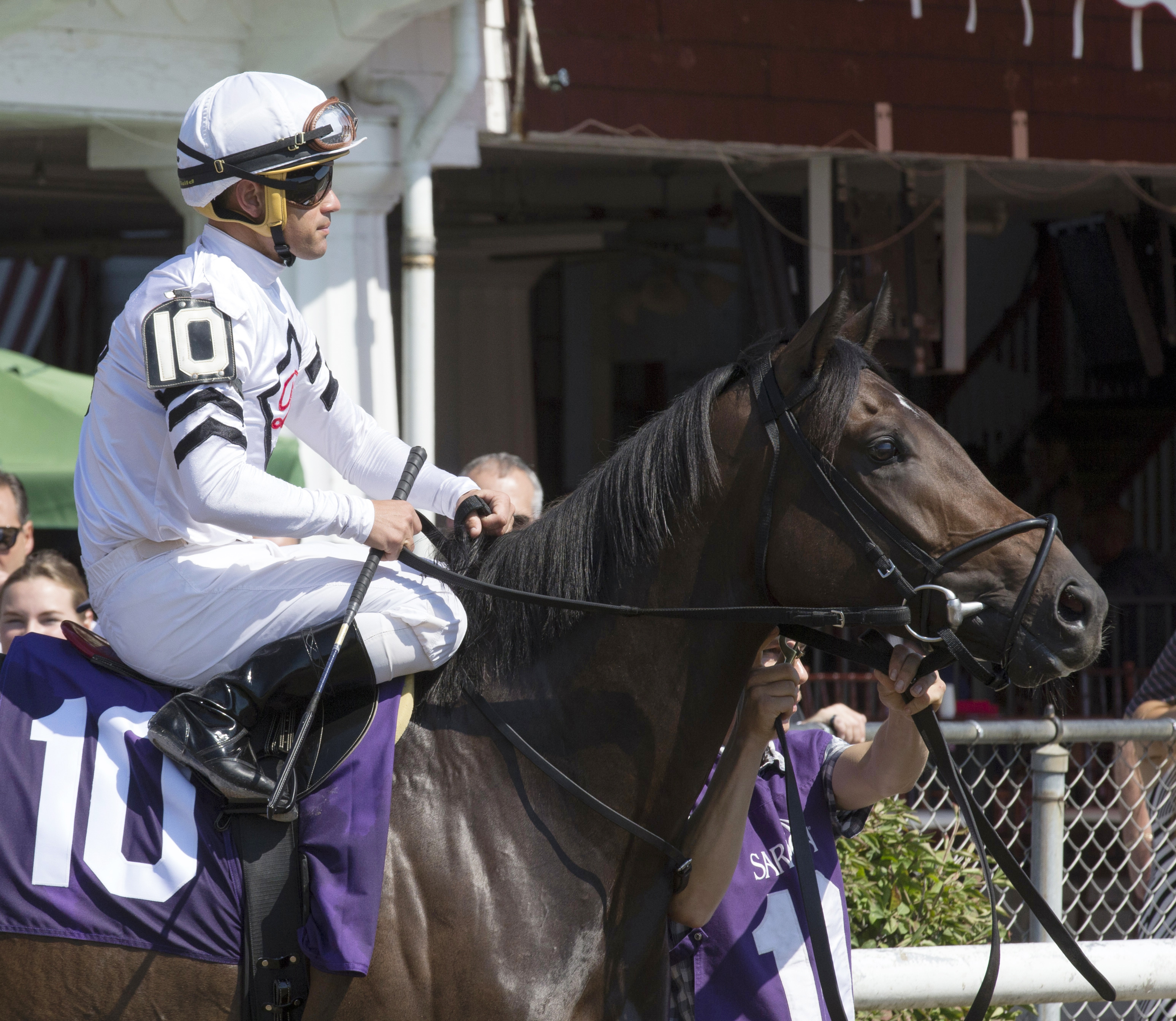 Mo Town at an Aug. 27 race at Belmont