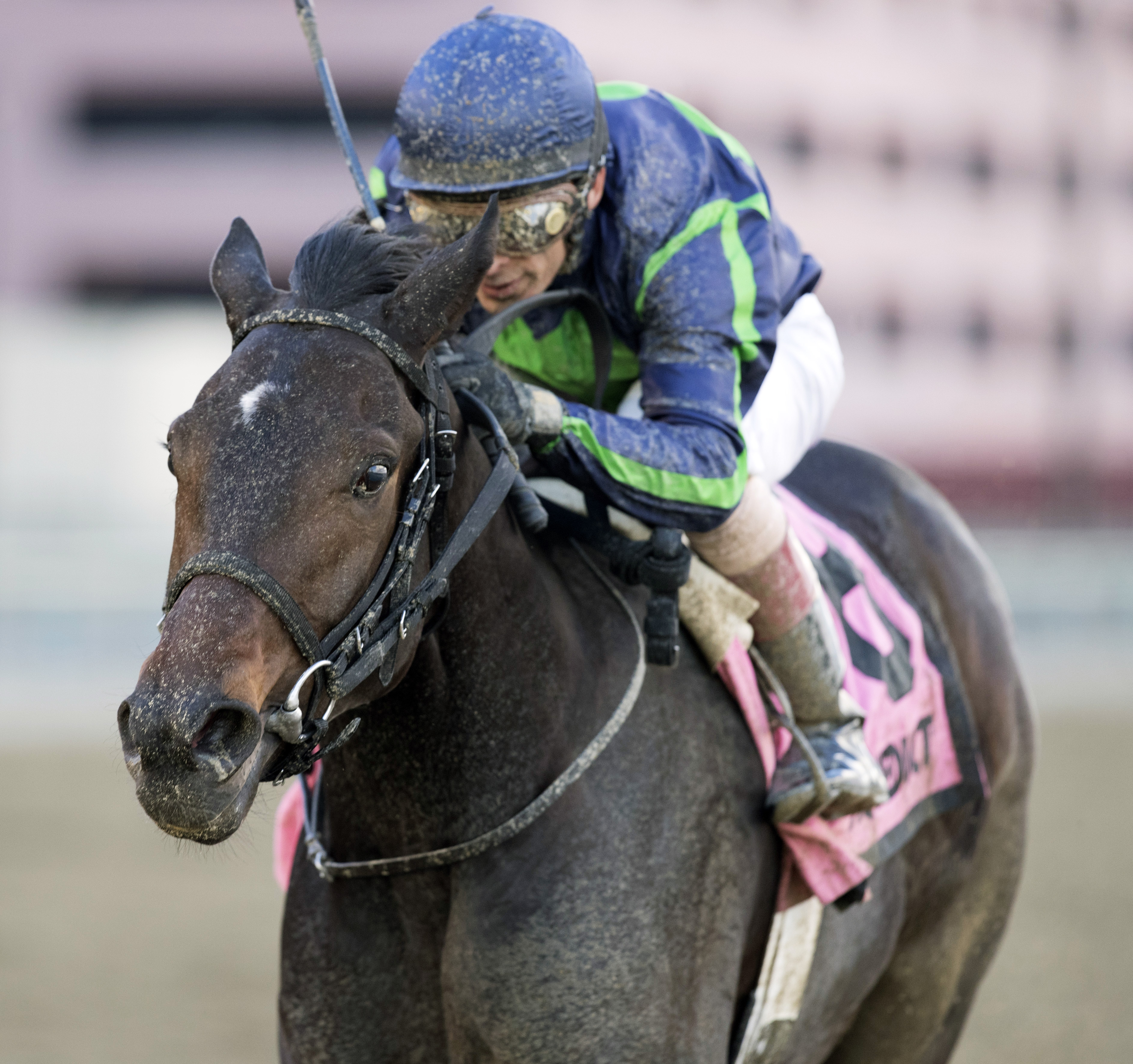 Mo Town wins the Remsen