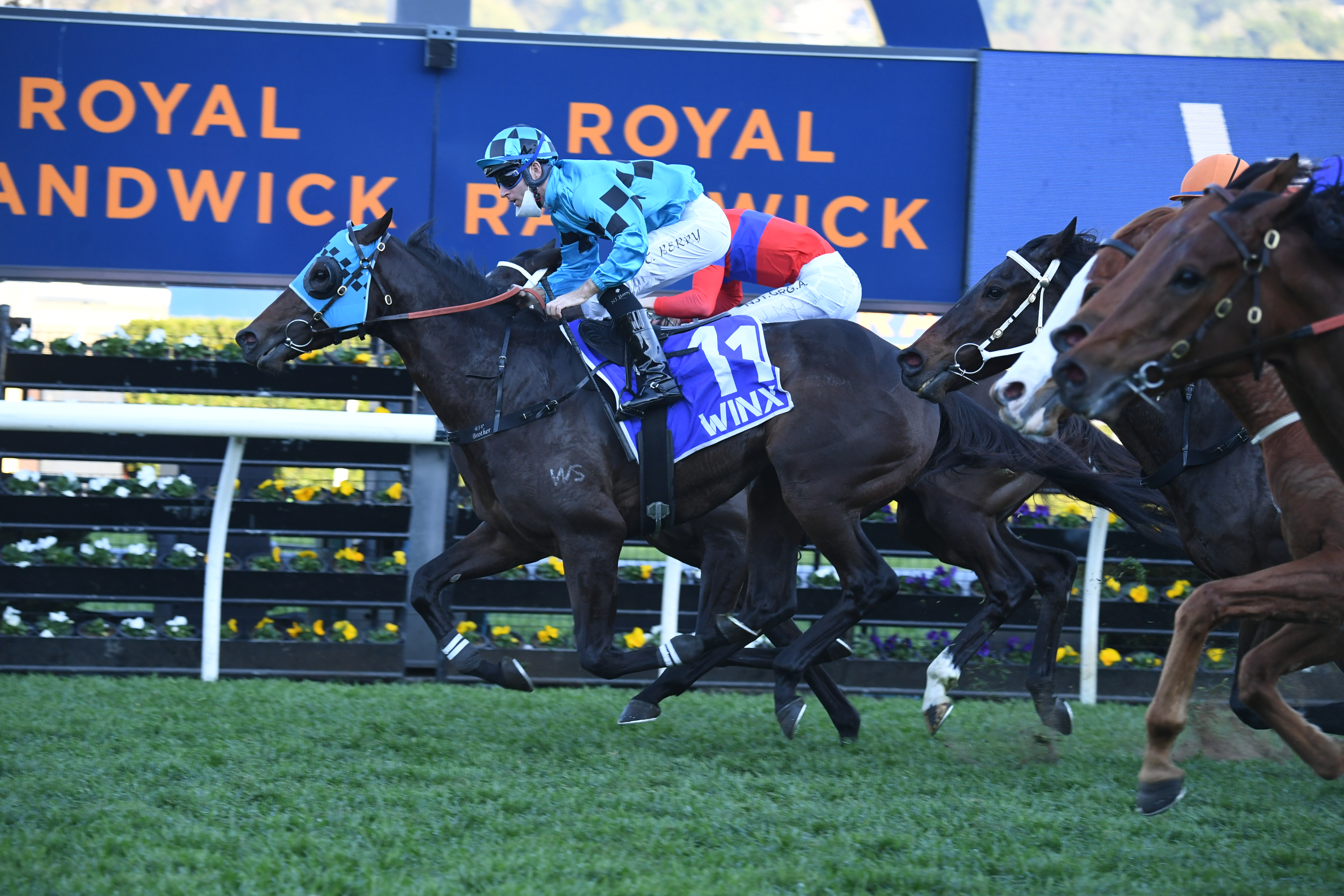 Mo’unga has earned his highweight but must concede 12 pounds to Riodini in The Everest.