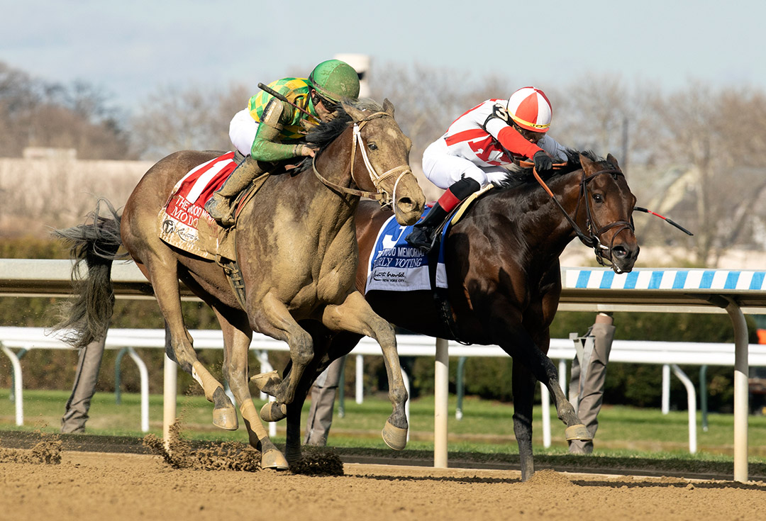 Early Voting (right) finishes second to Mo Donegal in the Wood Memorial at Aqueduct
