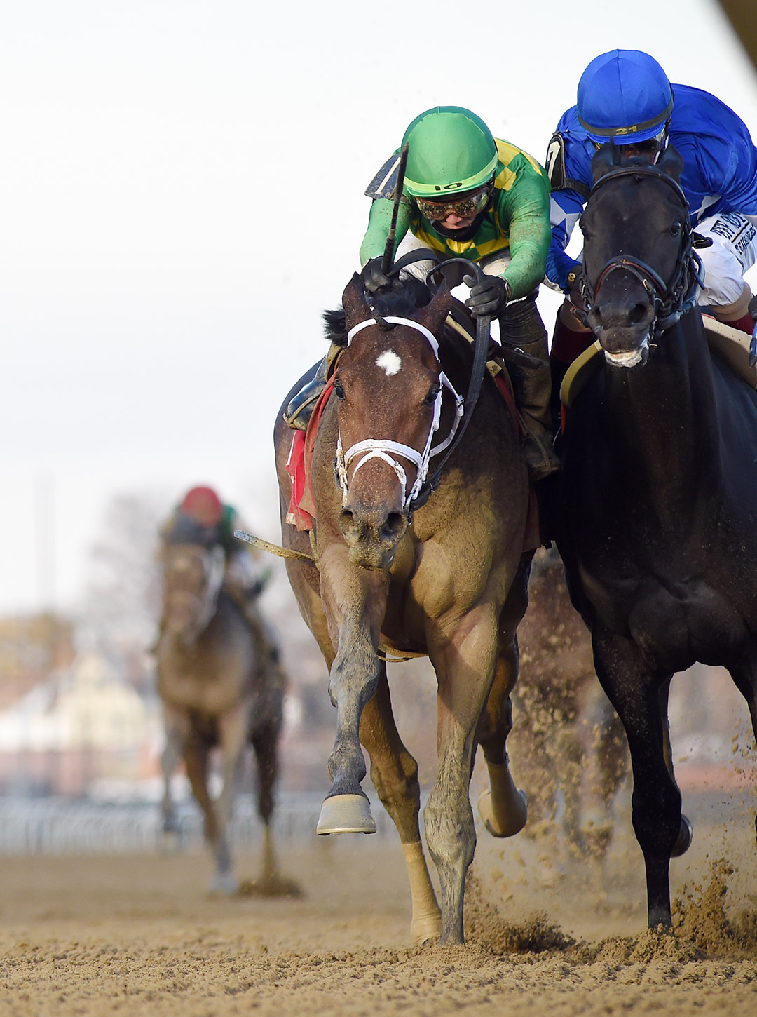 Mo Donegal (left) and Zandon (right) bump coming down the stretch of the Remsen at Aqueduct