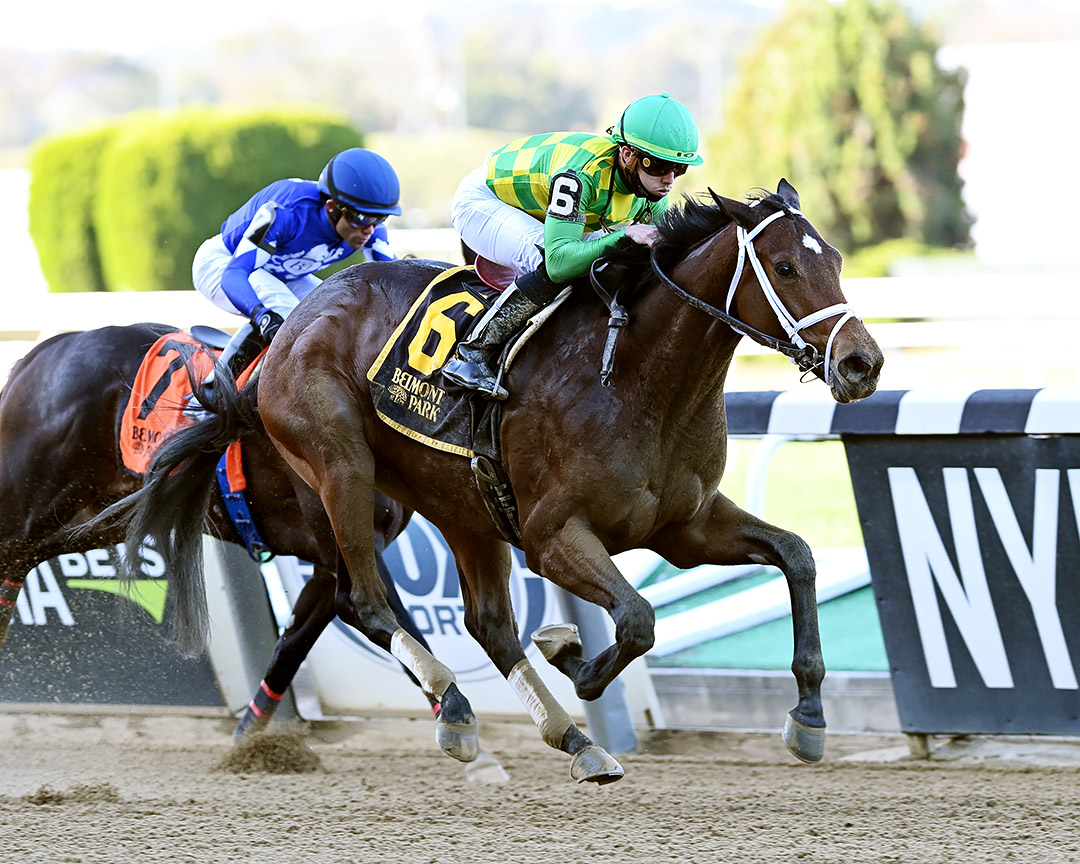 Mo Donegal wins an Oct. 21 maiden race at Belmont Park