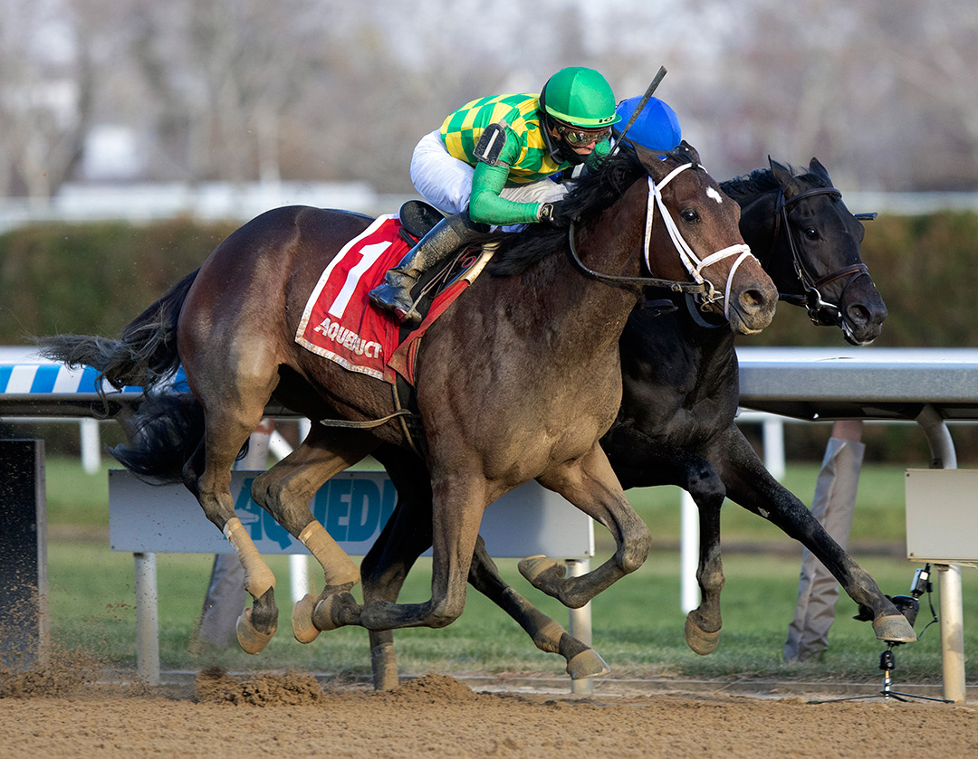 Mo Donegal (left) wins the 2021 Remsen Stakes at Aqueduct Racetrack