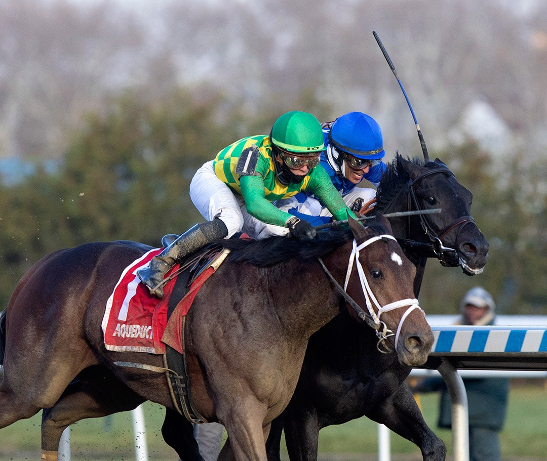Mo Donegal (left) wins the 2021 Remsen Stakes at Aqueduct