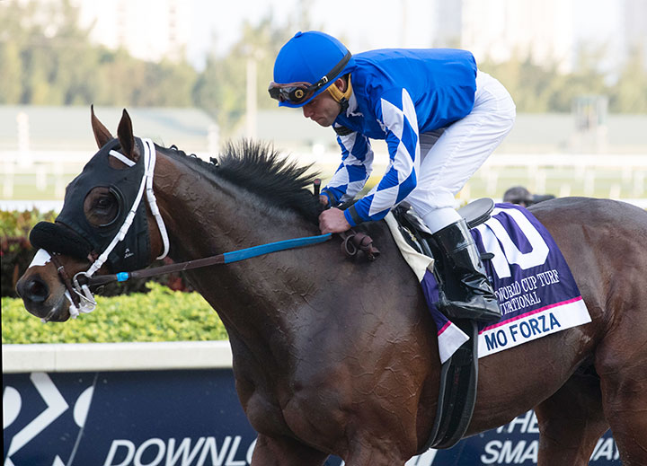 Mo Forza finishes ninth in the 2020 Pegasus World Cup Turf at Gulfstream Park