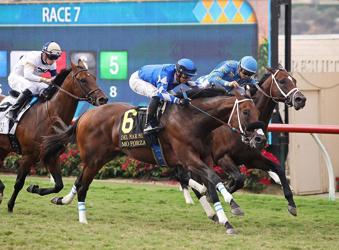 Mo Forza (6) wins the 2021 Del Mar Mile at Del Mar