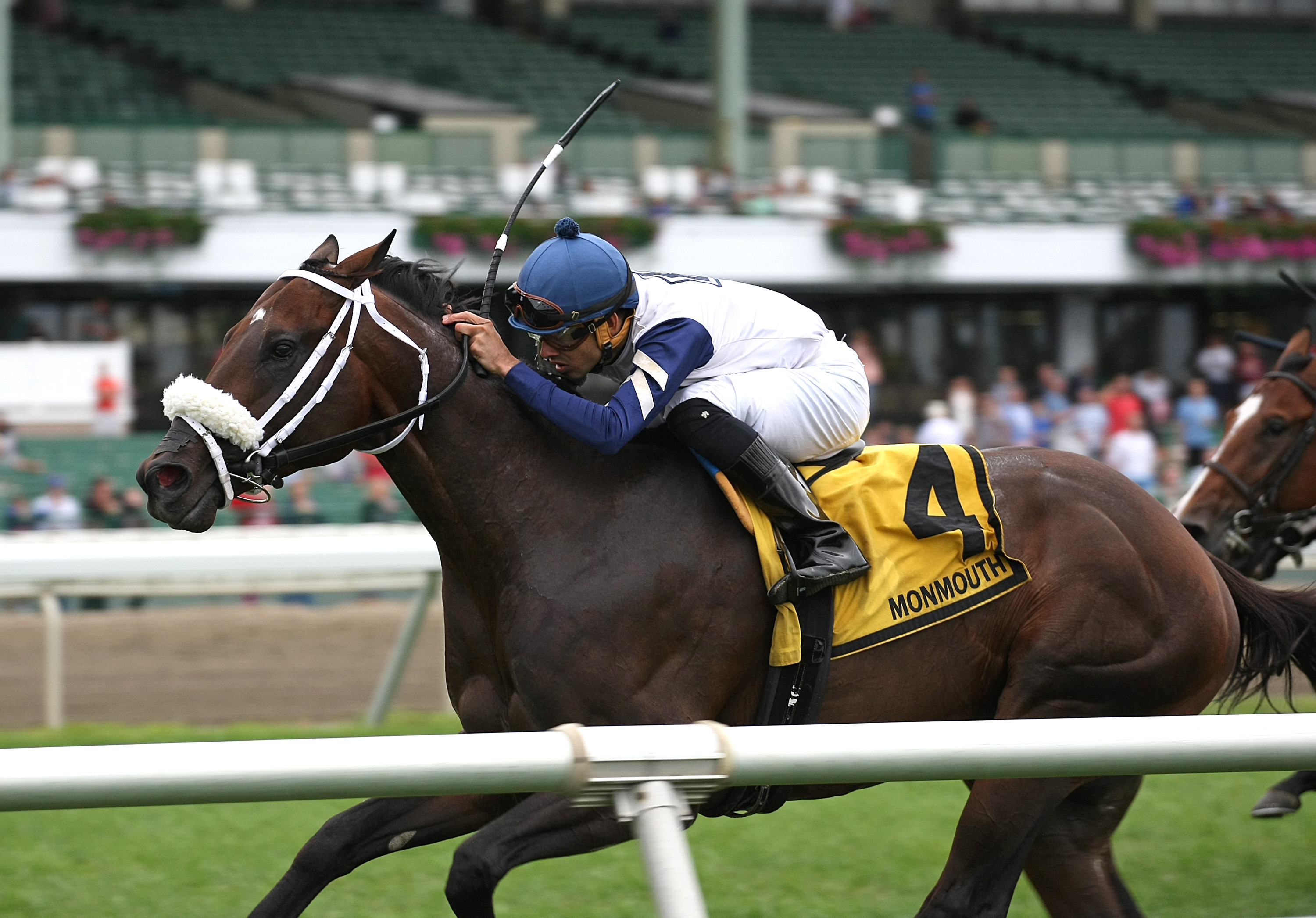 Mo Maverick wins the Lamplighter Stakes at Monmouth Park on July 29, 2017_BD