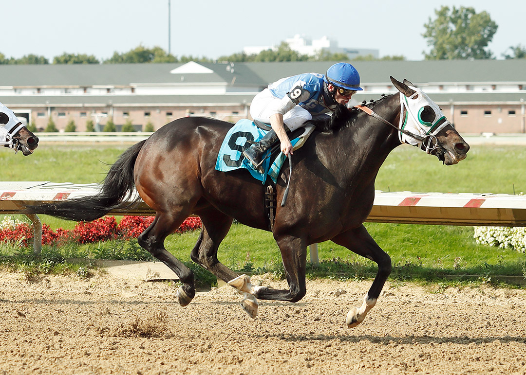 Mobil Solution wins the 2020 Catlaunch Stakes at ThistleDown