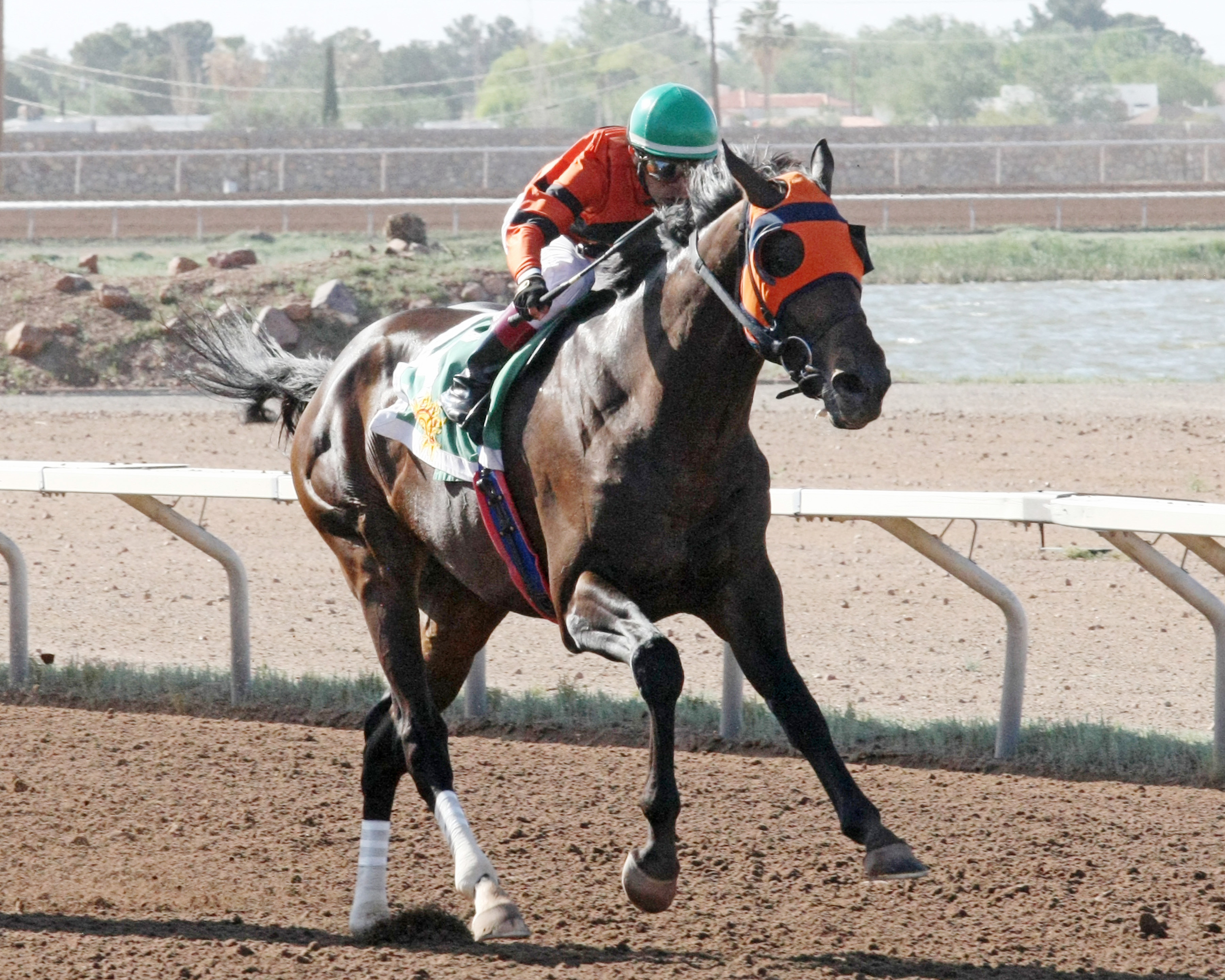 Mobile Bay wins the Sunland Park Handicap