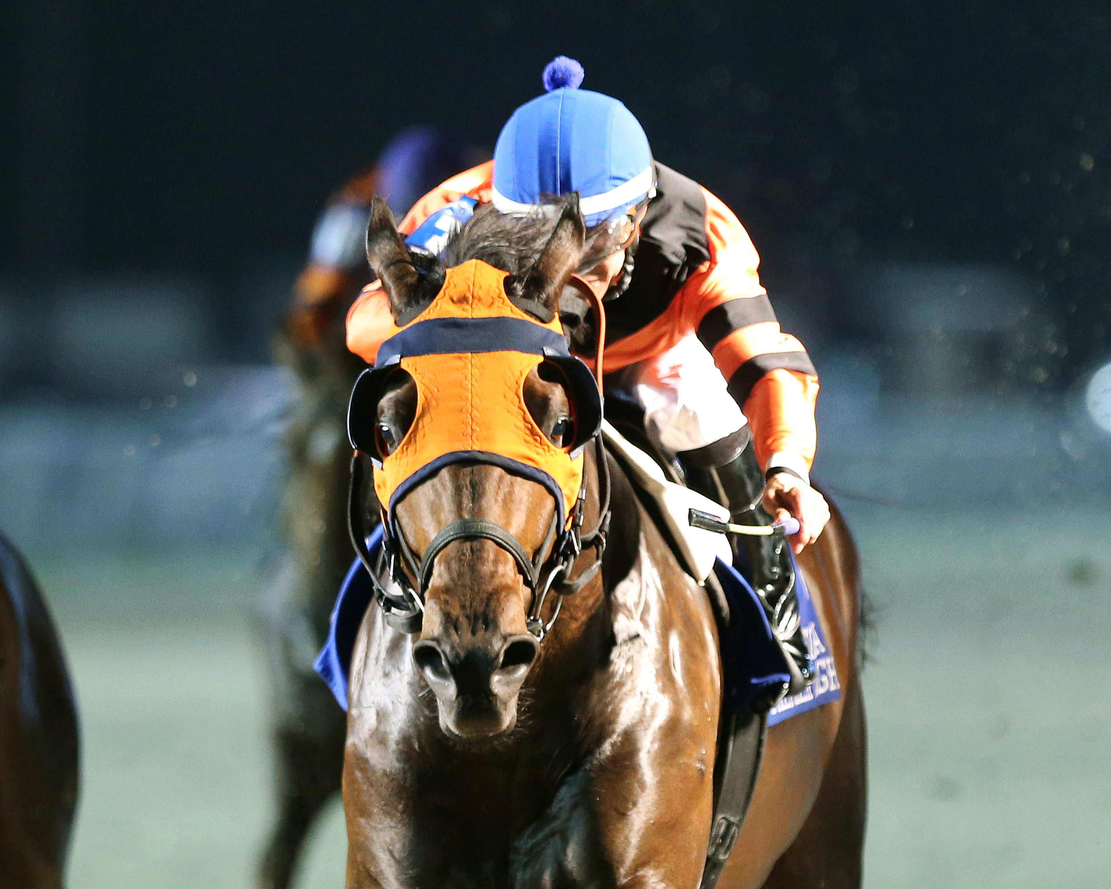 Mobile Bay wins the Louisiana-bred Premier Night Championship